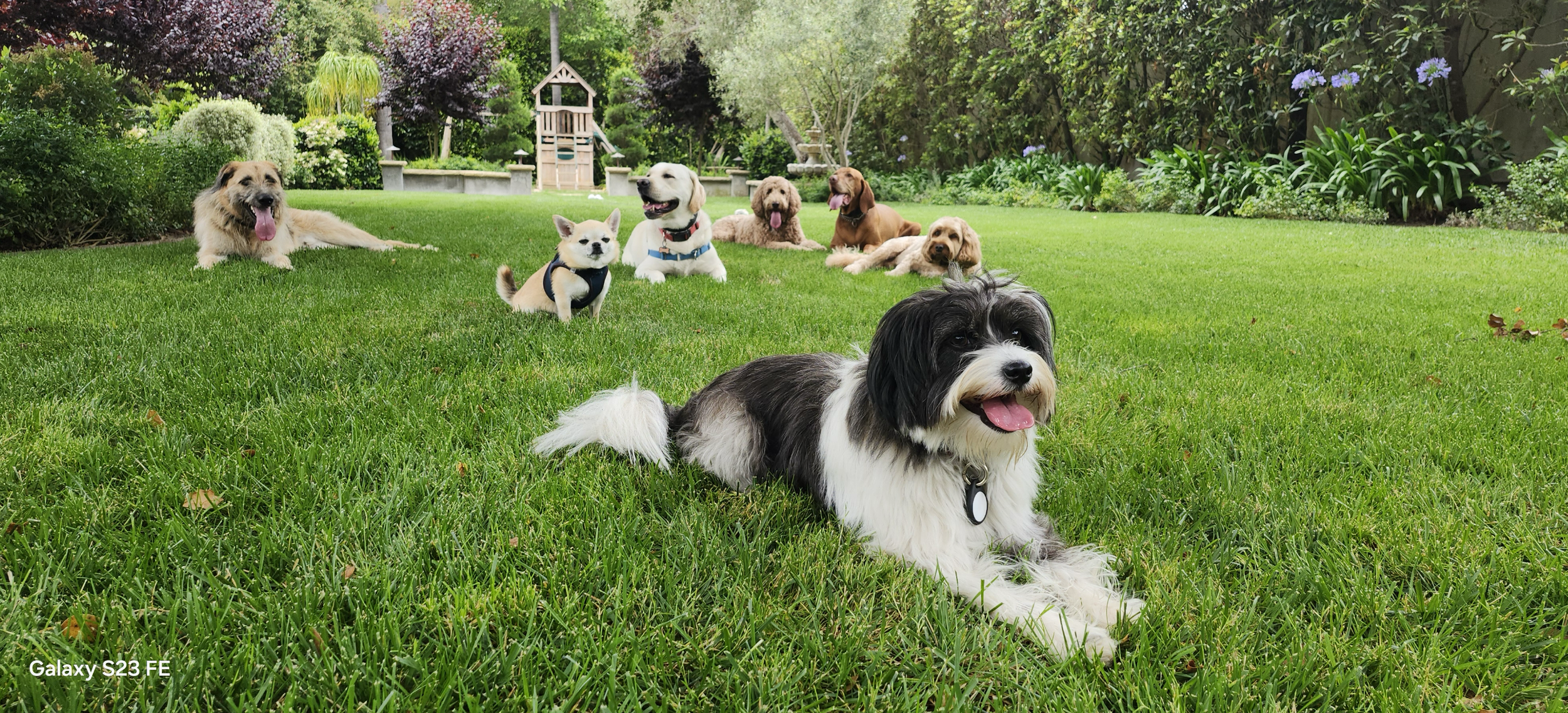 Screenshot 2025-12-23 at 11.24.14 AM.png