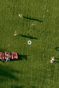 Untitled design (2).gif