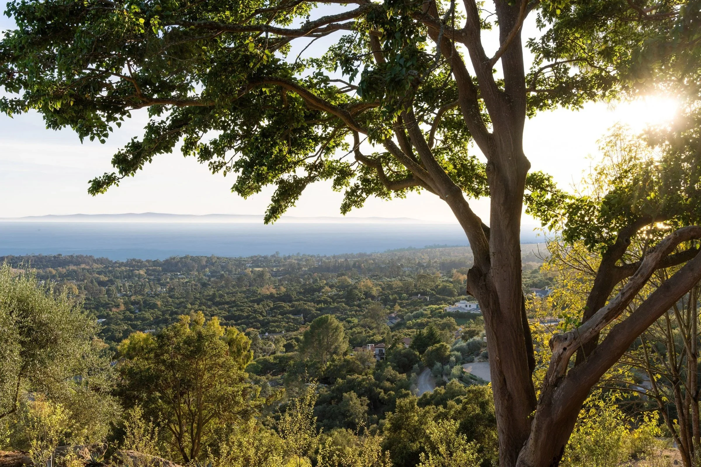 WHERE THE HORIZON LIVES