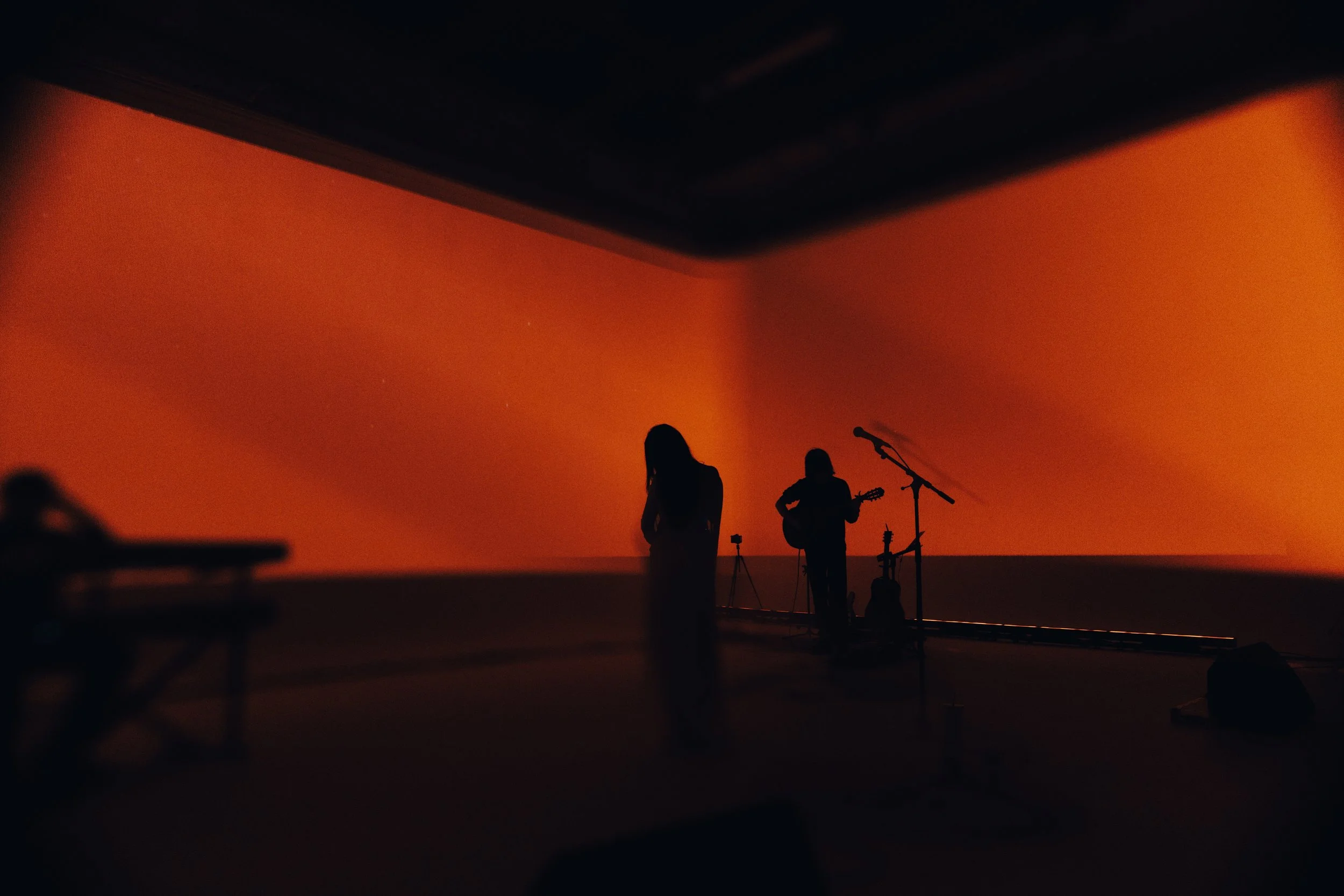 By Ming Lyu -  alayna at her Set Her Free Tour - Auckland - August 29 2026