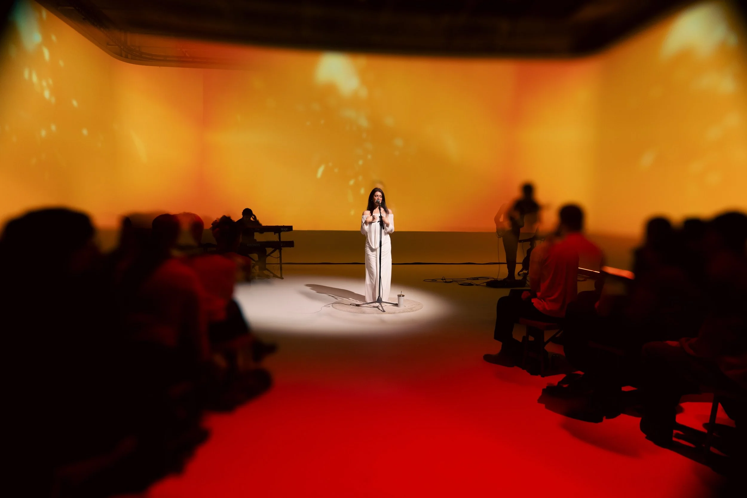 By Ming Lyu -  alayna at her Set Her Free Tour - Auckland - August 29 2026
