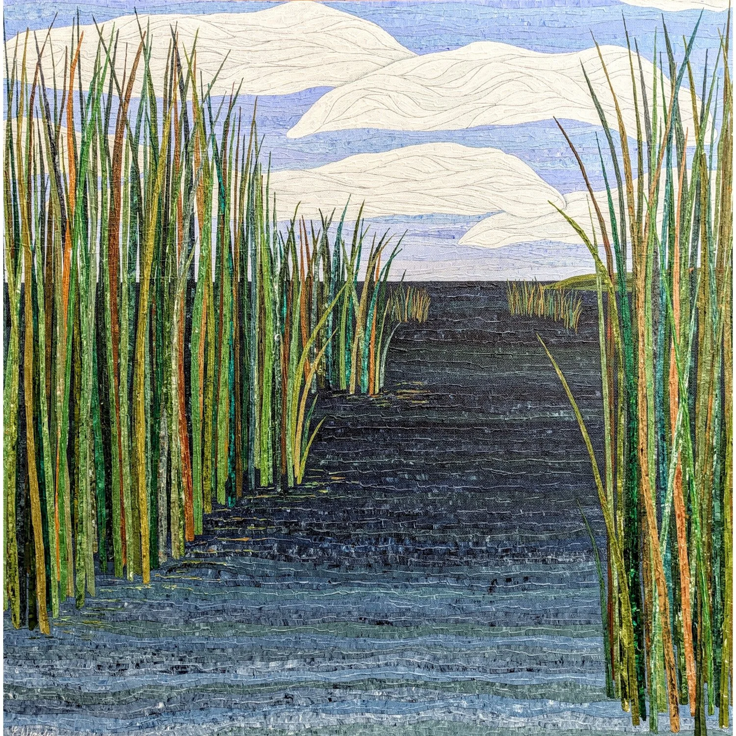 Wetlands 24x24