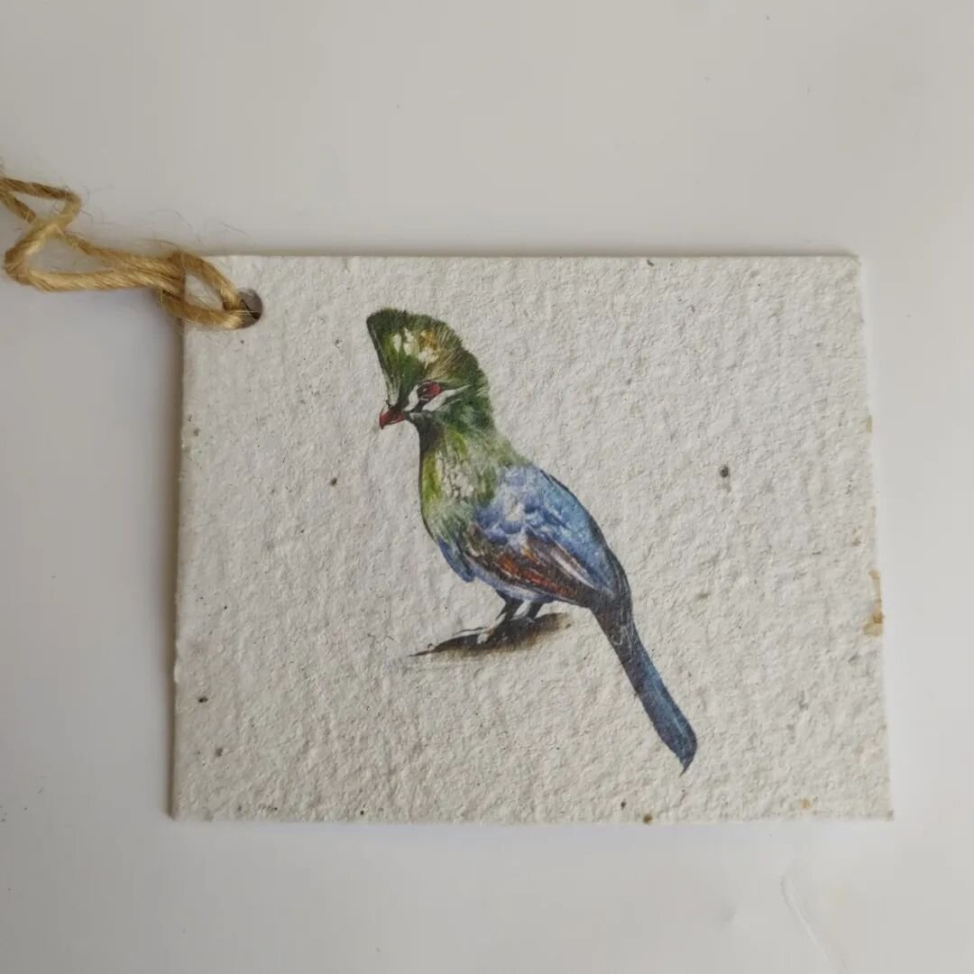 There are so many new and beautiful sustainable options for cards! 🤩🤩
#sustainableswaps #sustainableliving #smallstepsforgood #smallchangesmakeabigdifference #somegoodthings