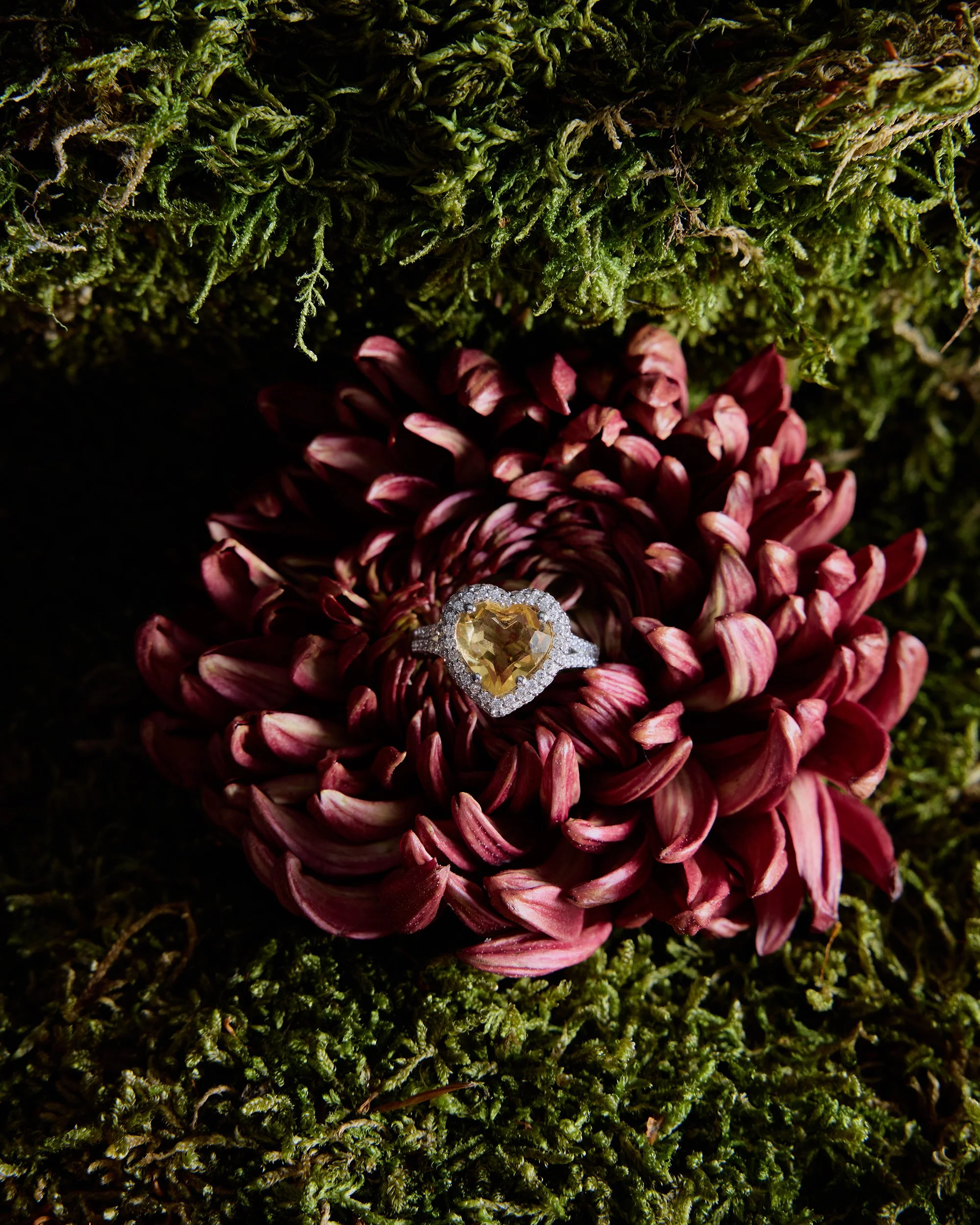 Aponine_Stillife_37_1003 copy.jpg