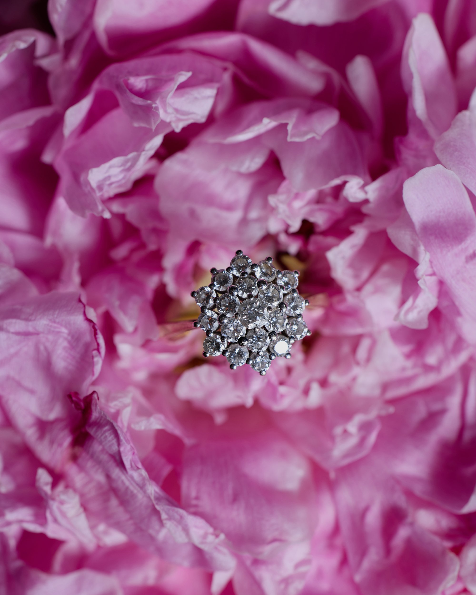 Aponine_Stillife_34_0949 copy.jpg