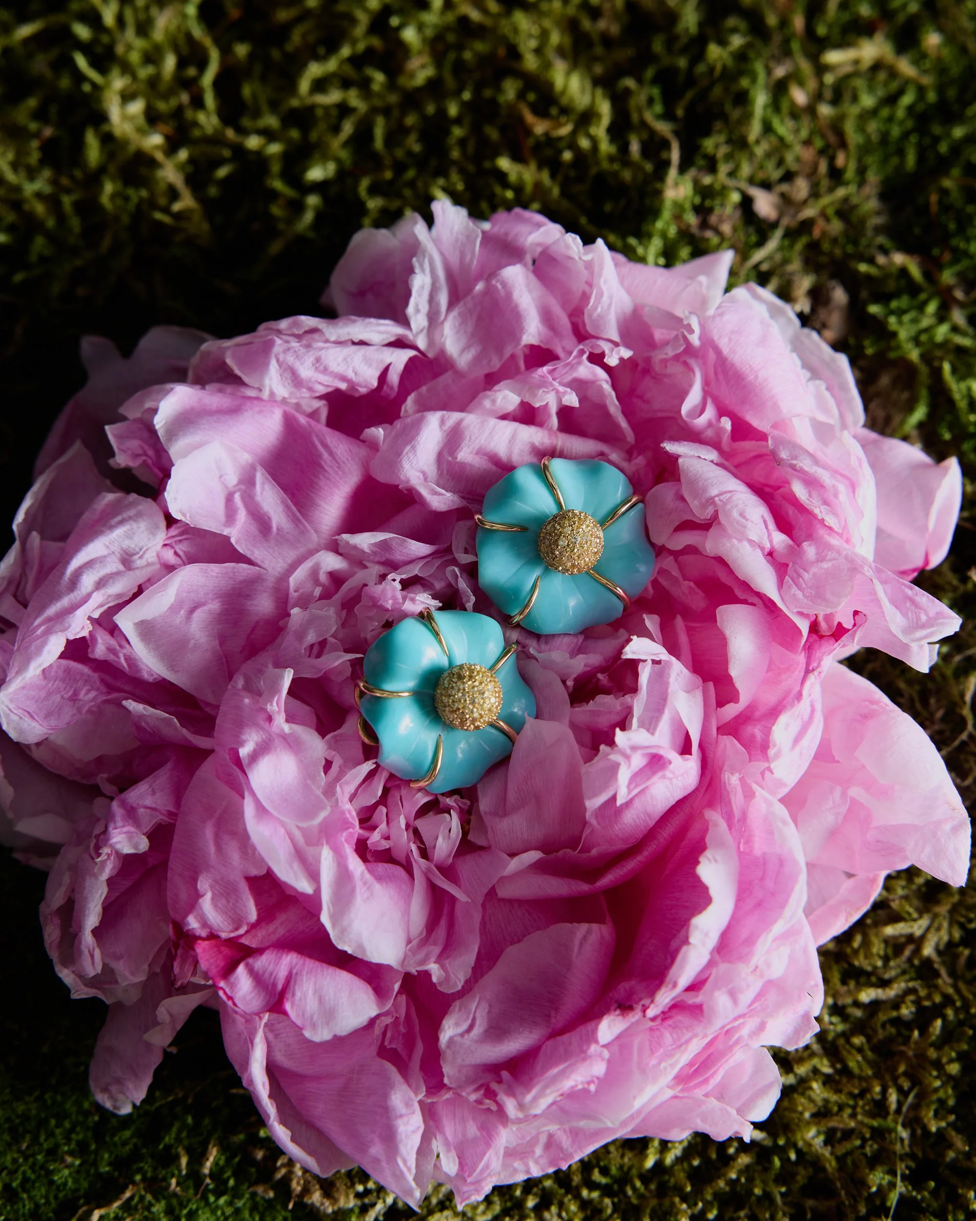 Aponine_Stillife_37_1020 copy.jpg