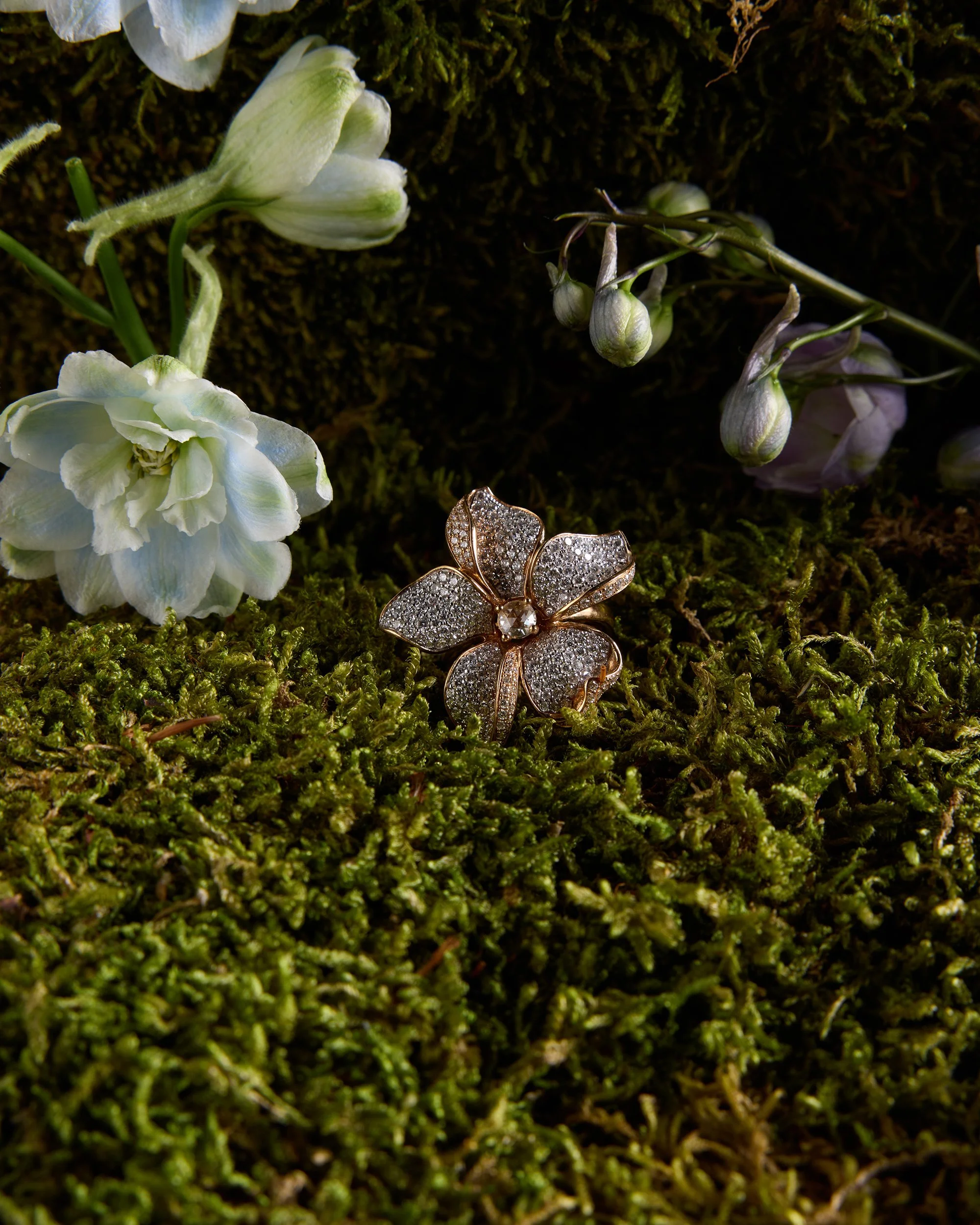 Aponine_Stillife_04_0135 copy.jpg