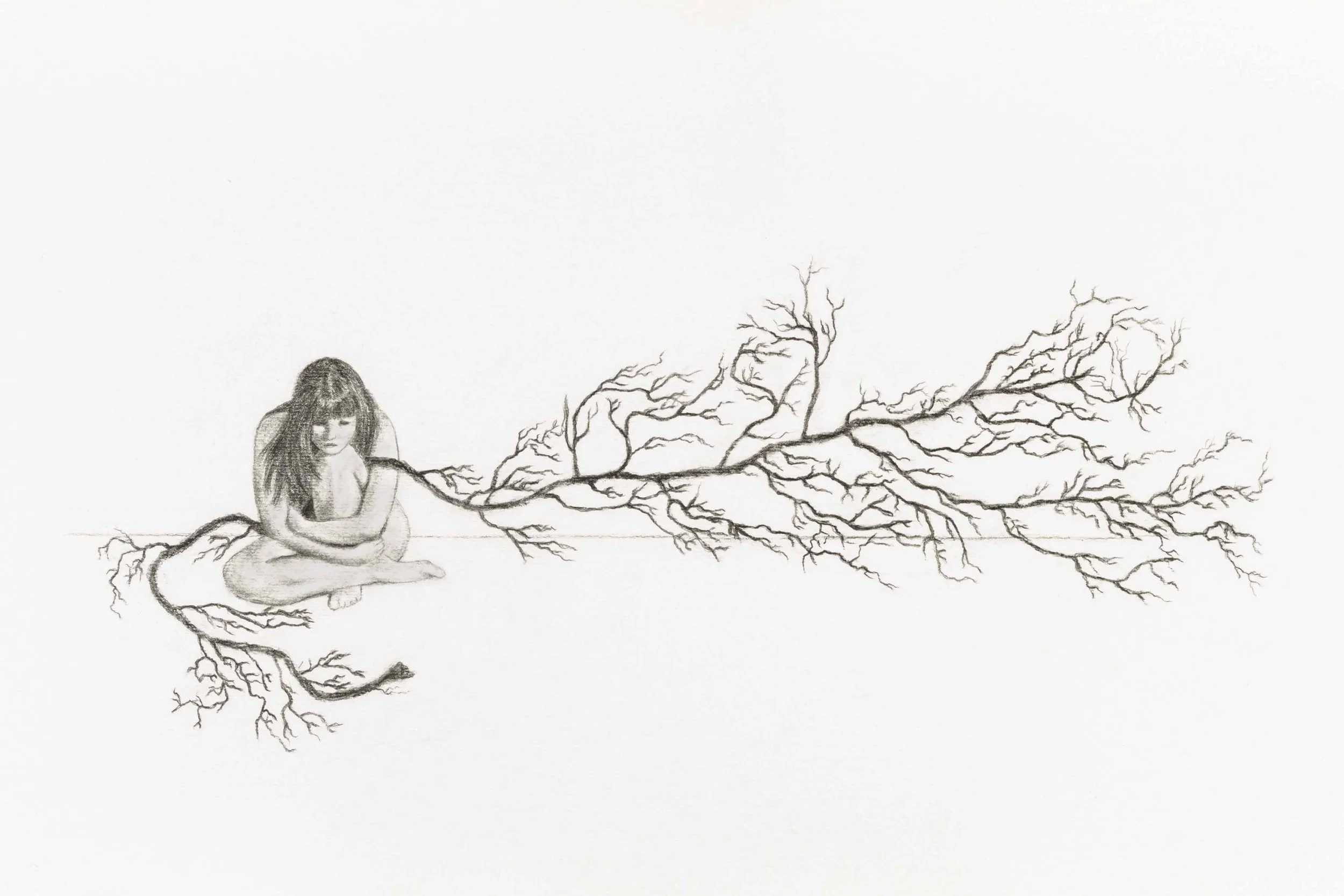 Cicatrix Umbilicalis, crayon graphite sur papier, 25x50 cm, 2013