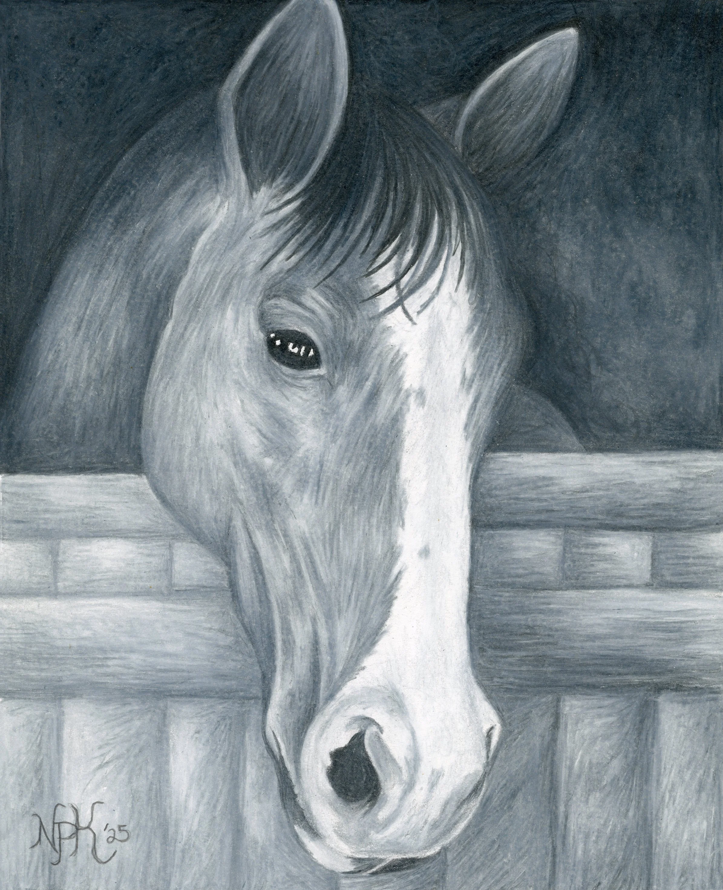 "Waiting for Apples" - 8in. x 10in. Unmmatted Print