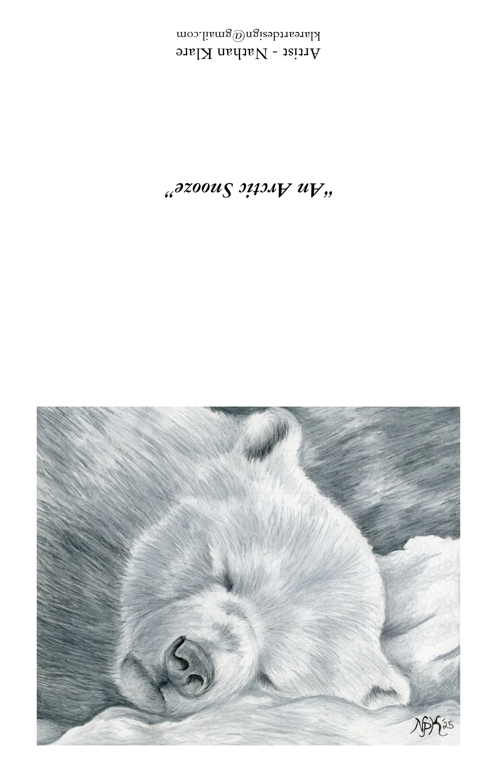 An Arctic Snooze-card.jpg