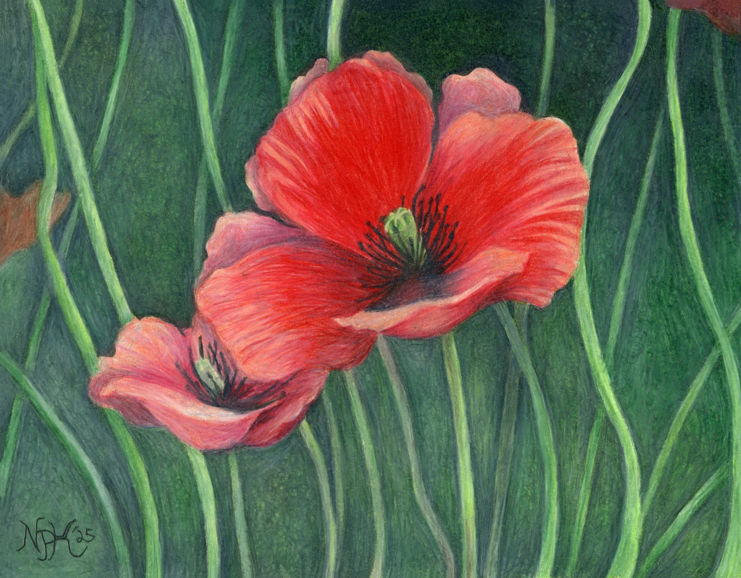 "Lullaby" - 8in. x 10in. Unmatted Print