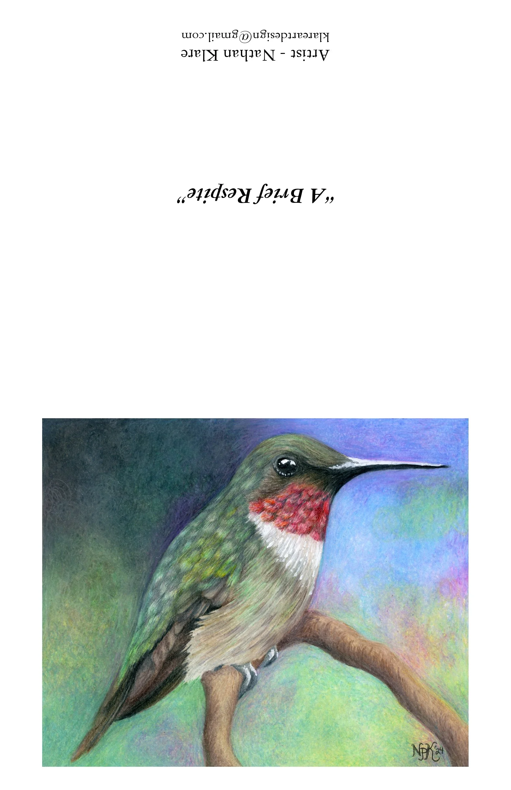 1 Dozen Blank Wildlife Note Cards