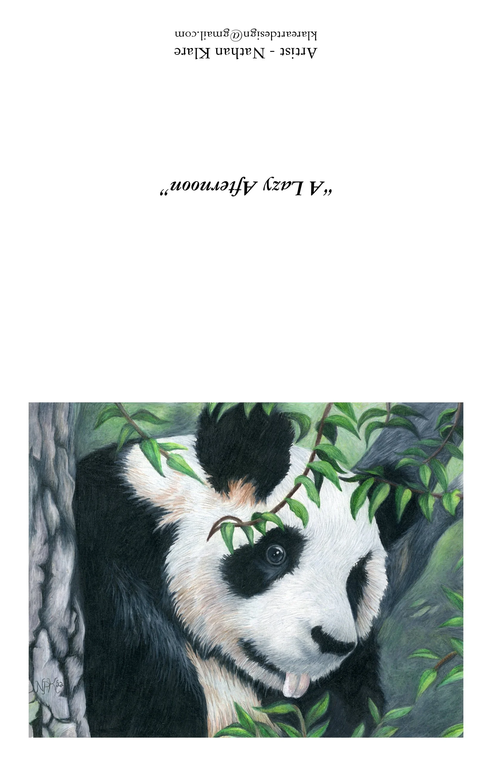 A Lazy Afternoon.jpg