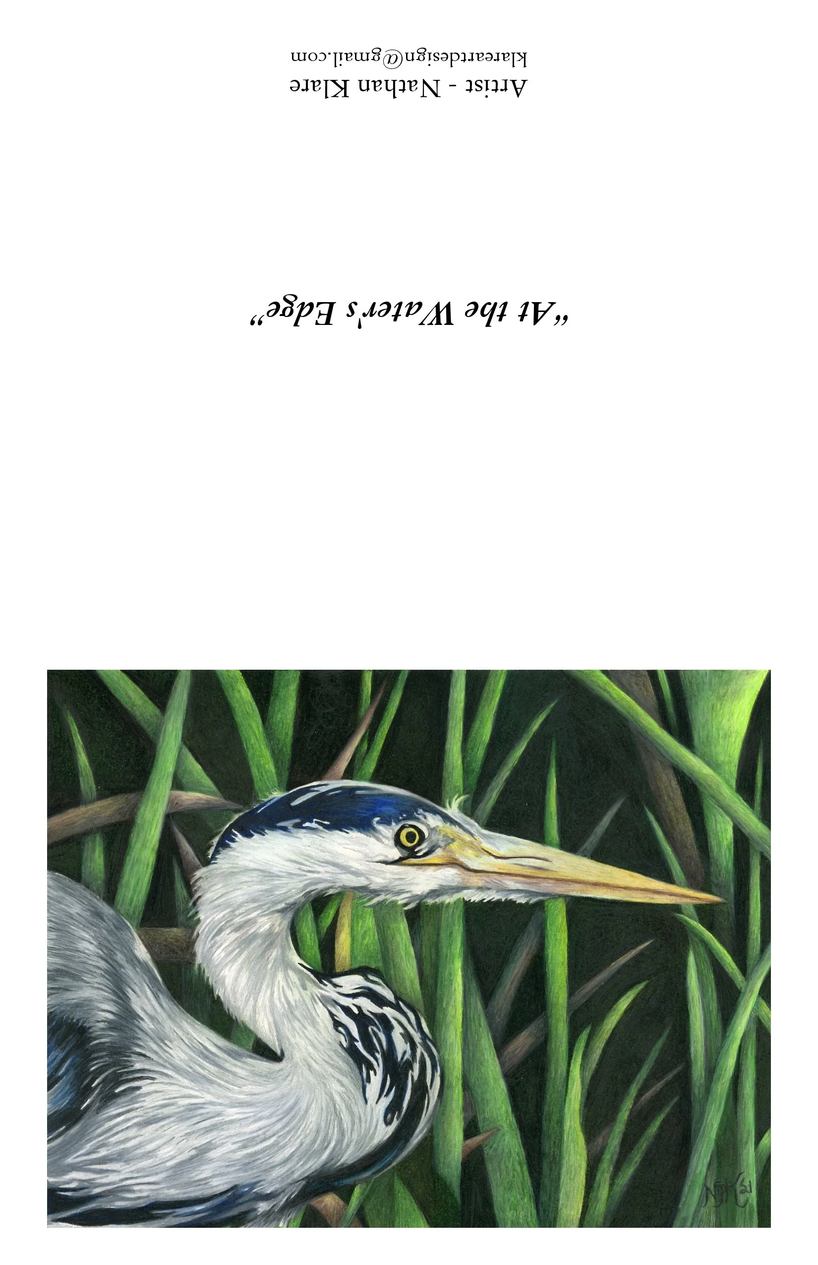 At the Water's Edge.jpg