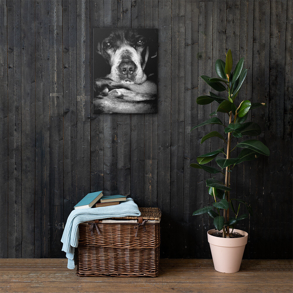 canvas-(in)-18x24-lifestyle-1-60e116a974cda.jpg