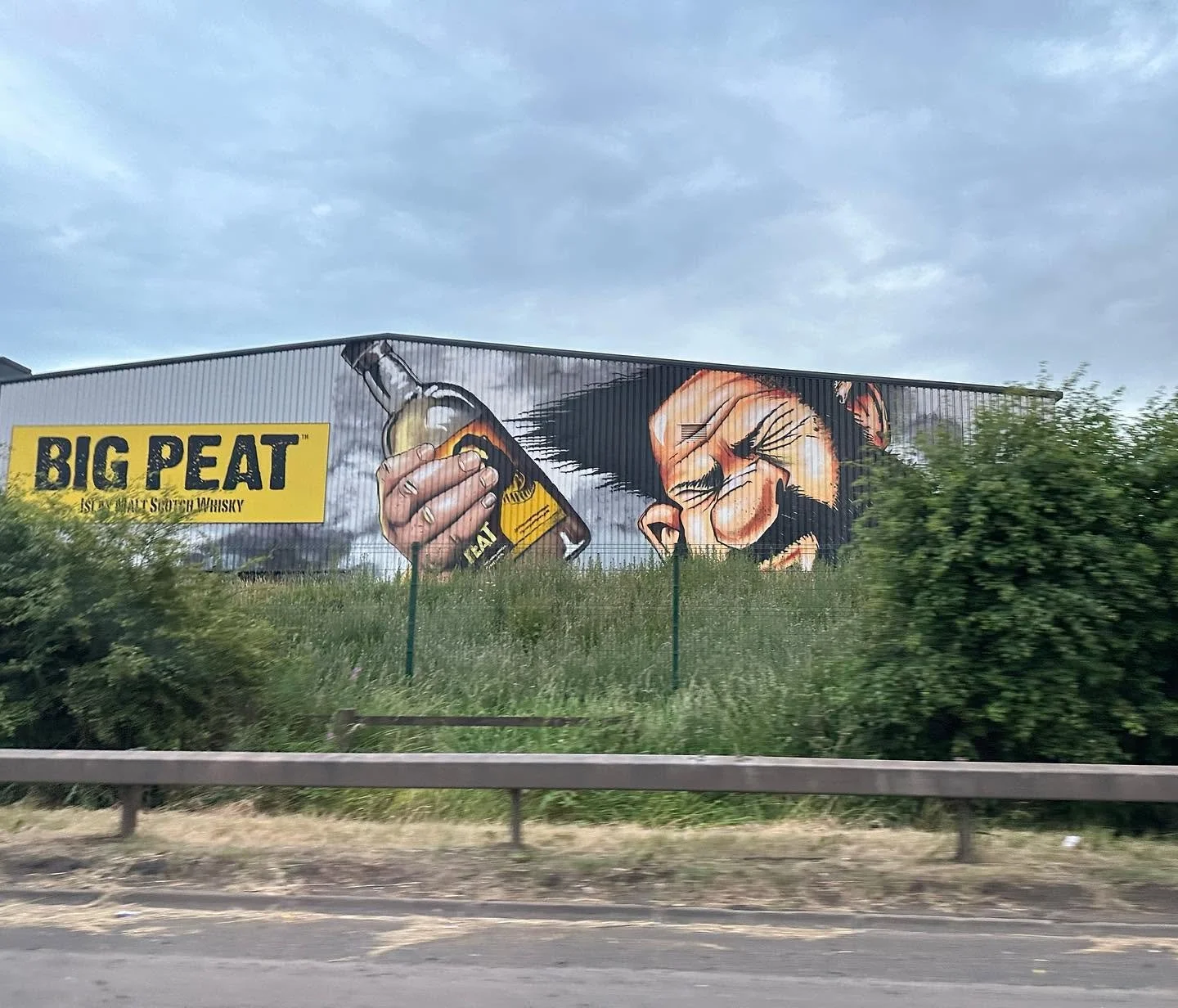 OA Meets Big Peat
