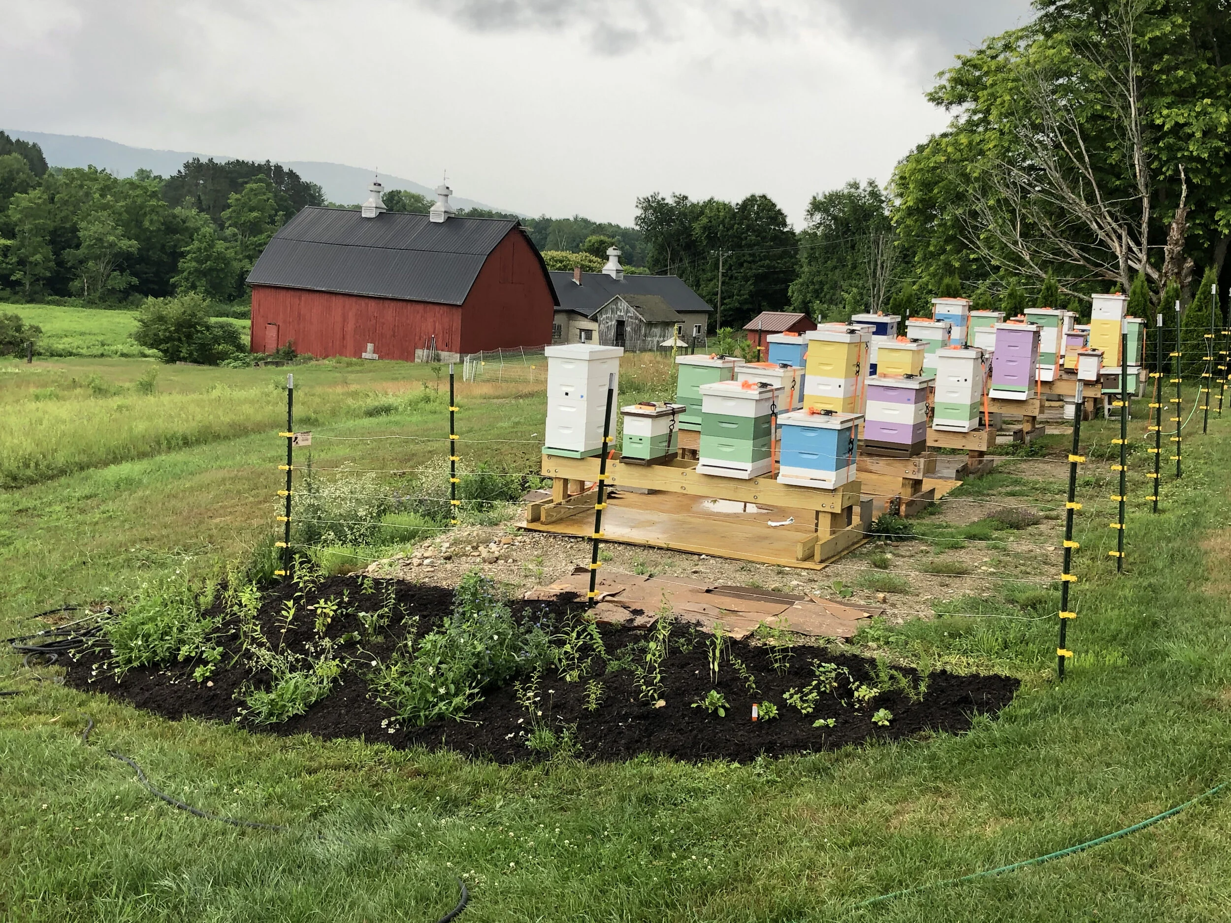 “Hands in the Hives” IN-PERSON Educational Apiary Meet-Up