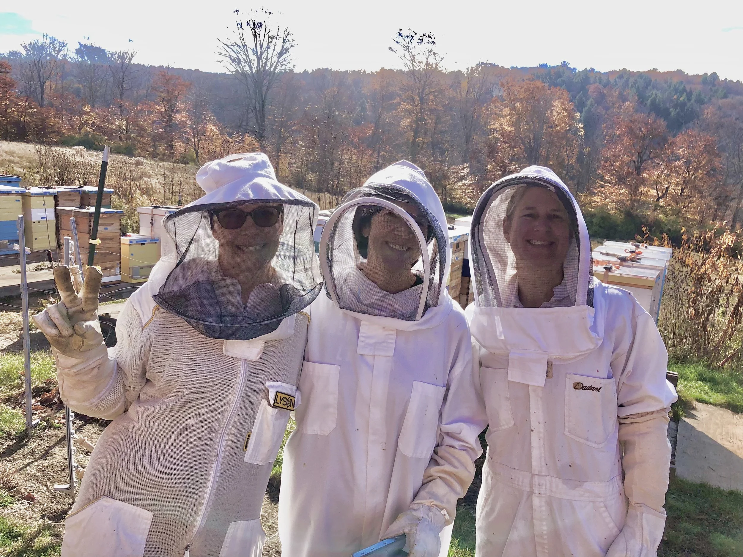 Bee Banter &amp; Brainstorming