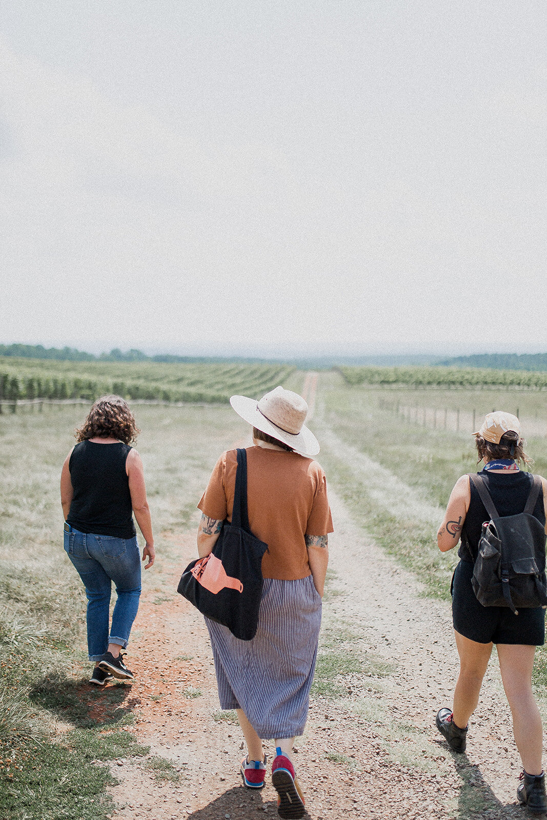 Blenheim Vineyards