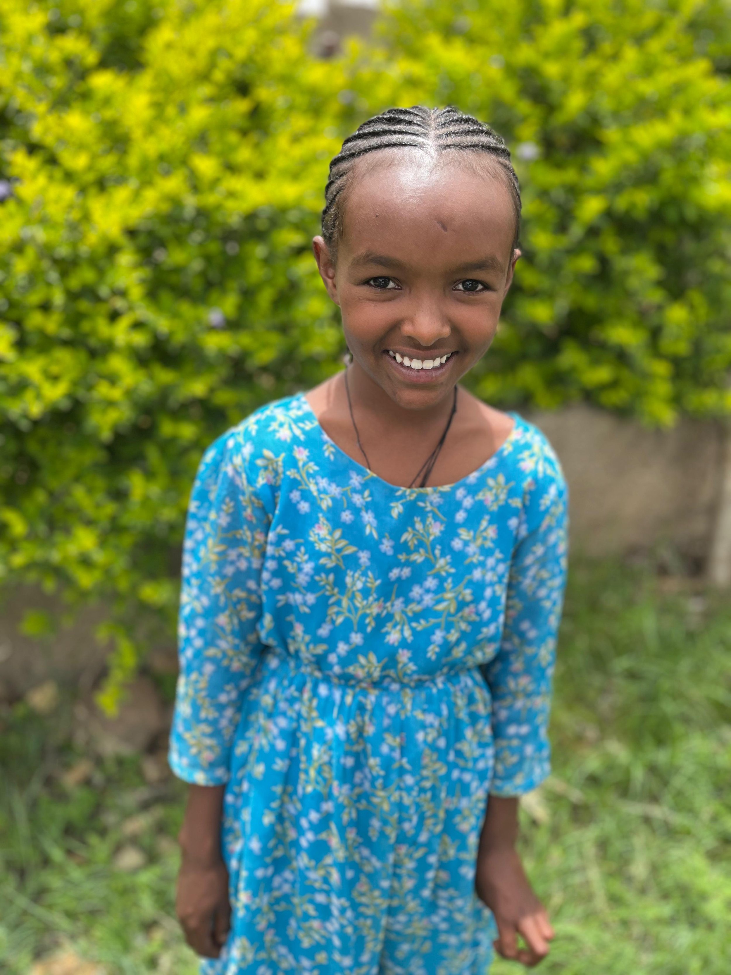 Brighty Picture.jpeg