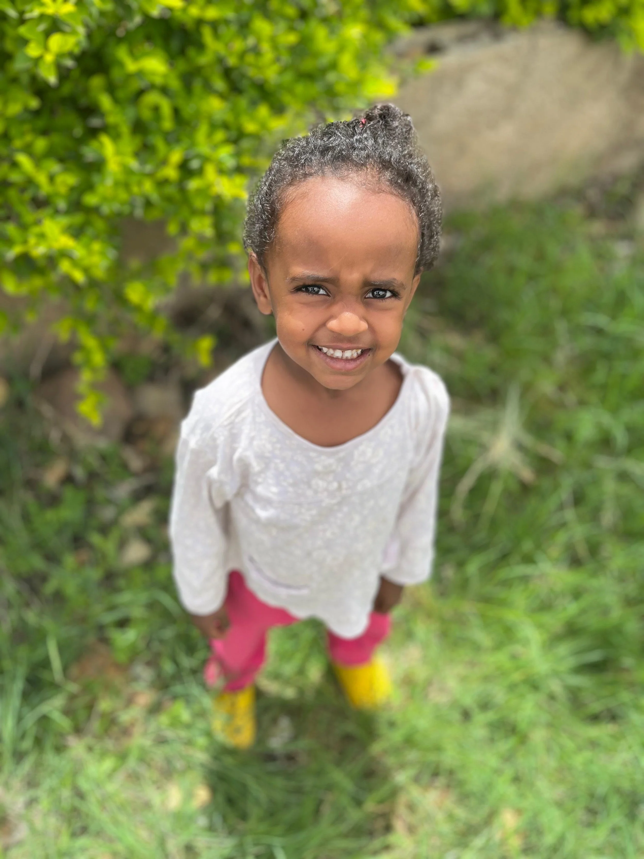 Bamlack Gebremedhin.jpeg