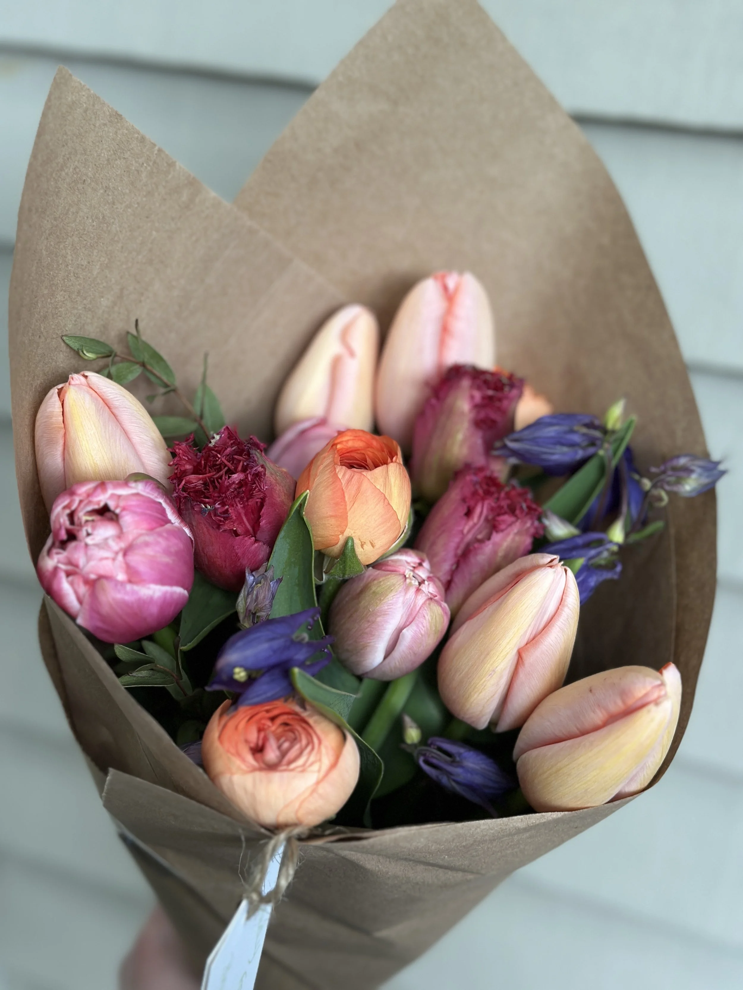 Rich colours Spring Sub 2026 Website.jpg