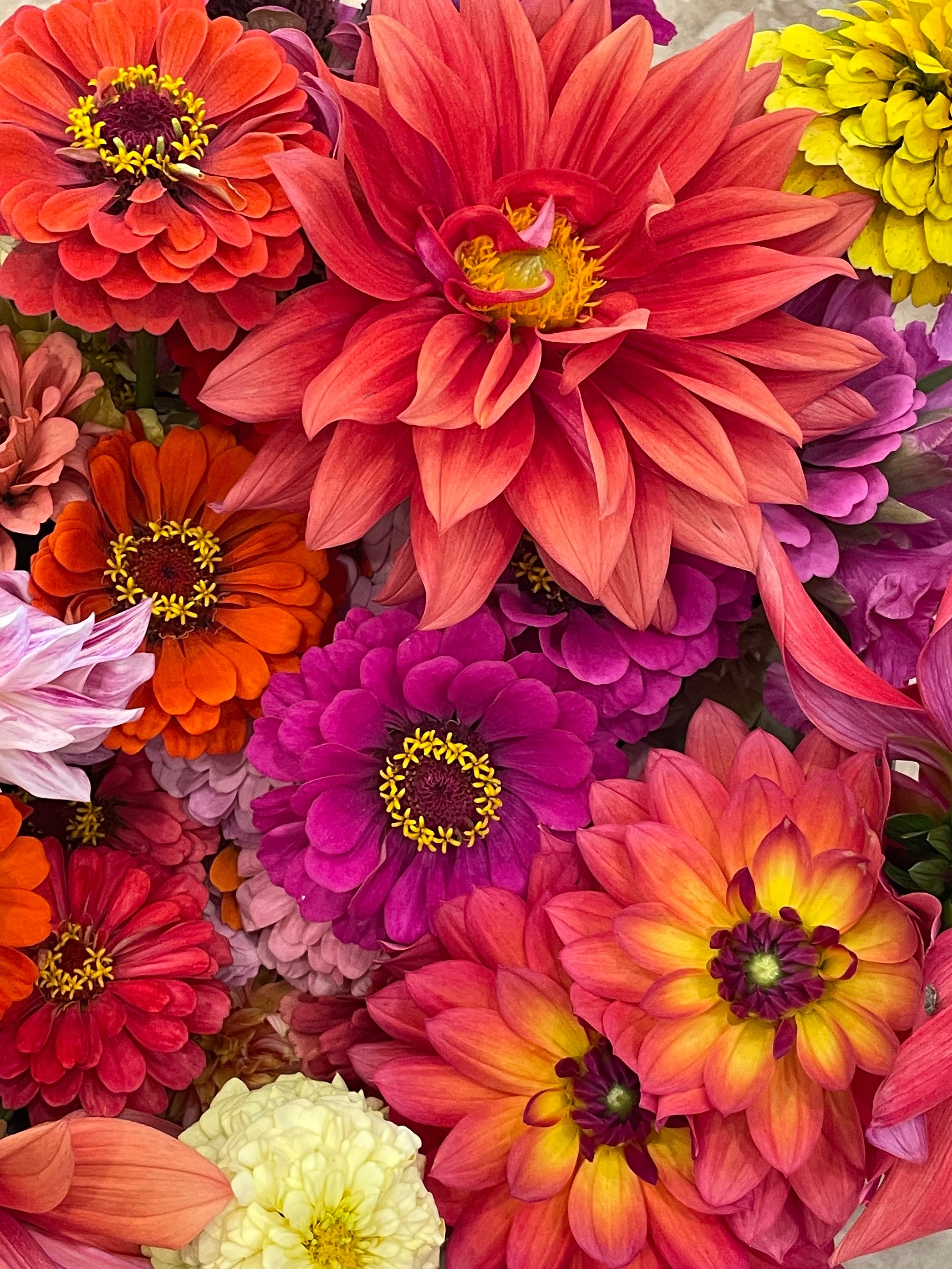 Autumn Subscription