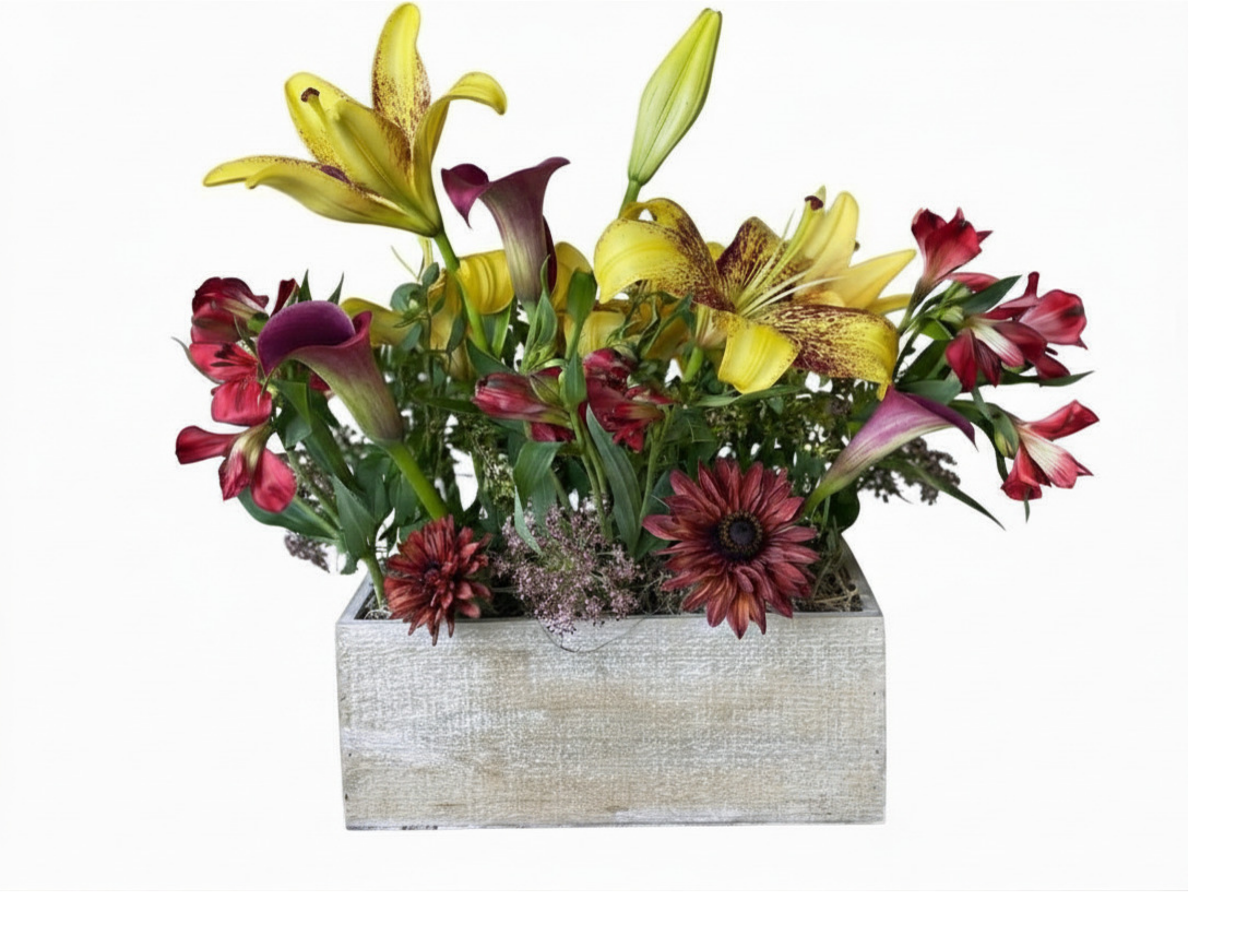 Yellow Lilies no shadow.png