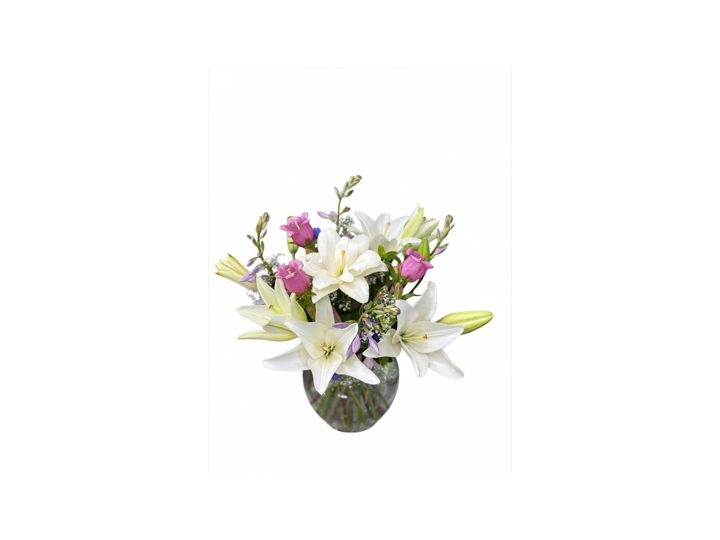 Untitled design (11).png