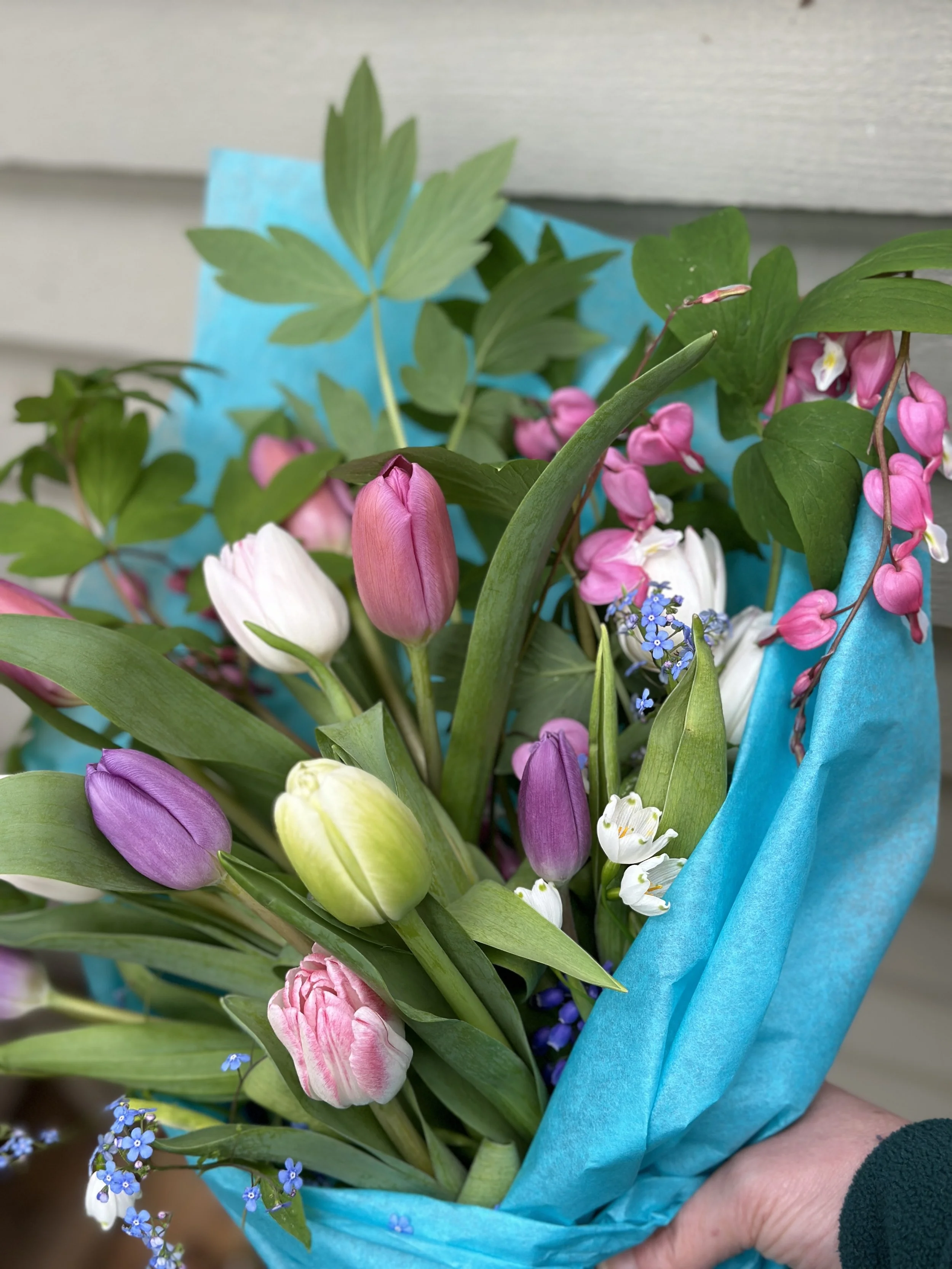 Bleeding Heart Sub 2026 Website.jpg