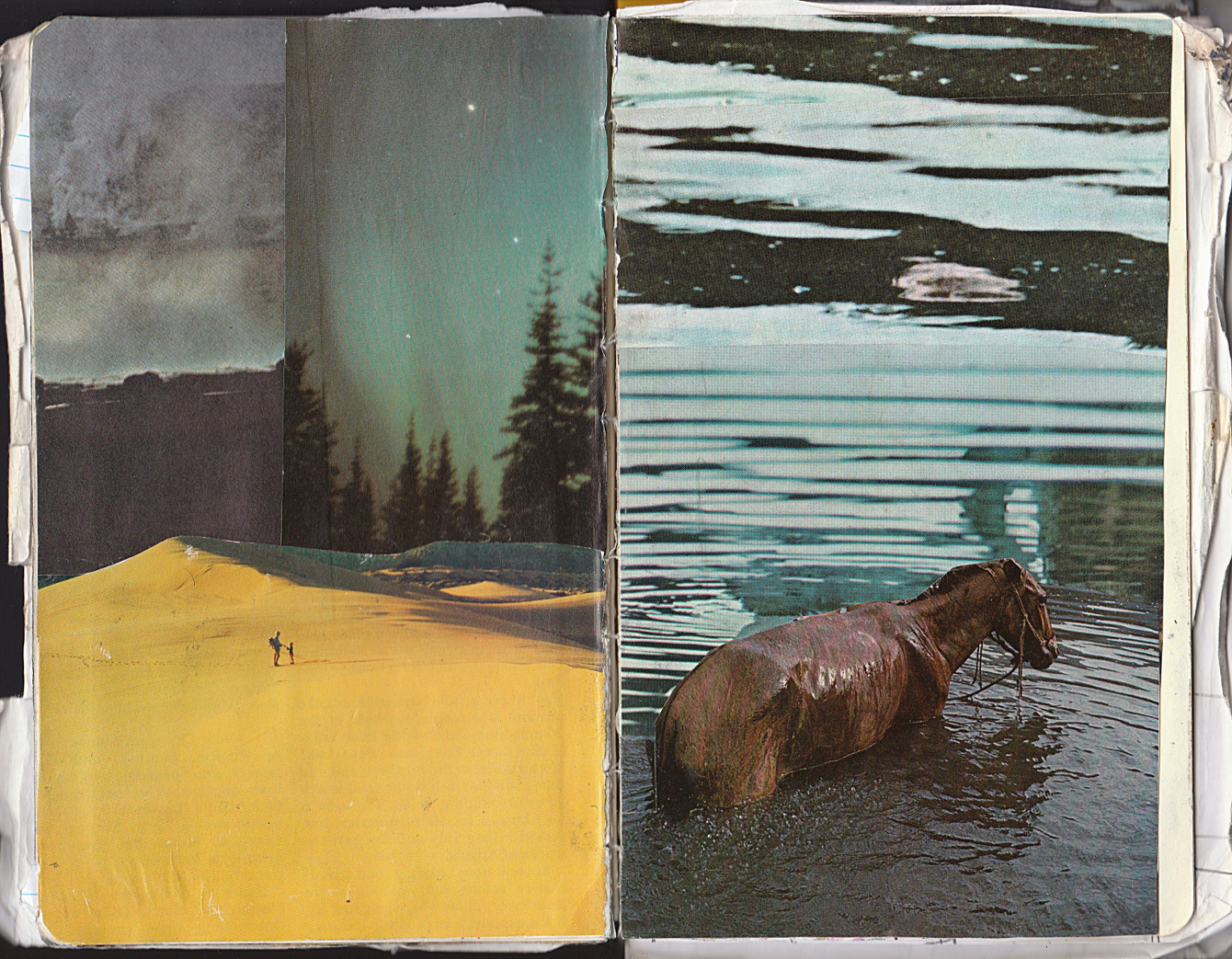 Sketchbook-10-x50_1340_c.png