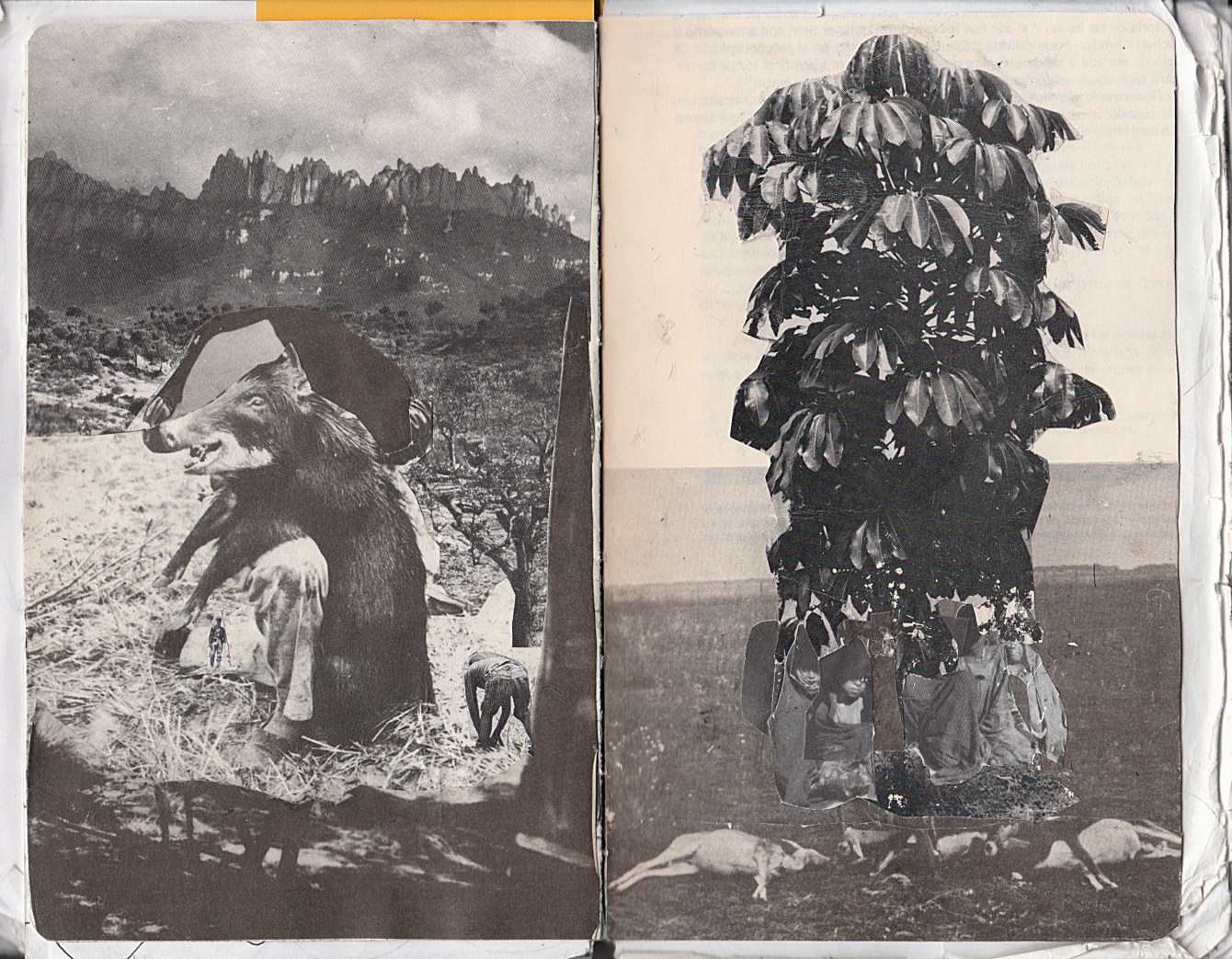Sketchbook-24-x50_1340_c.png