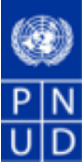 UNDP.png