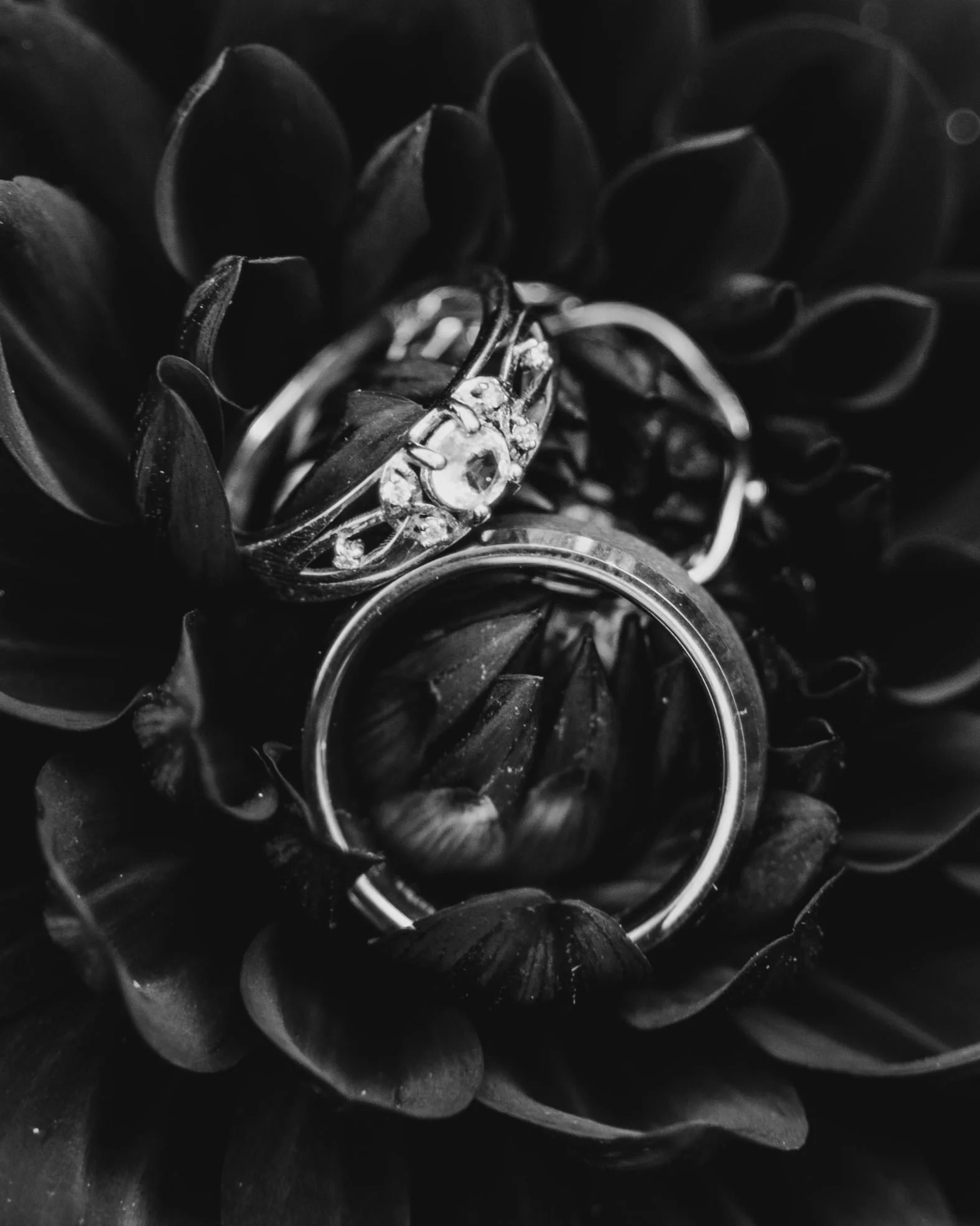 Wedding Sample 20.jpg