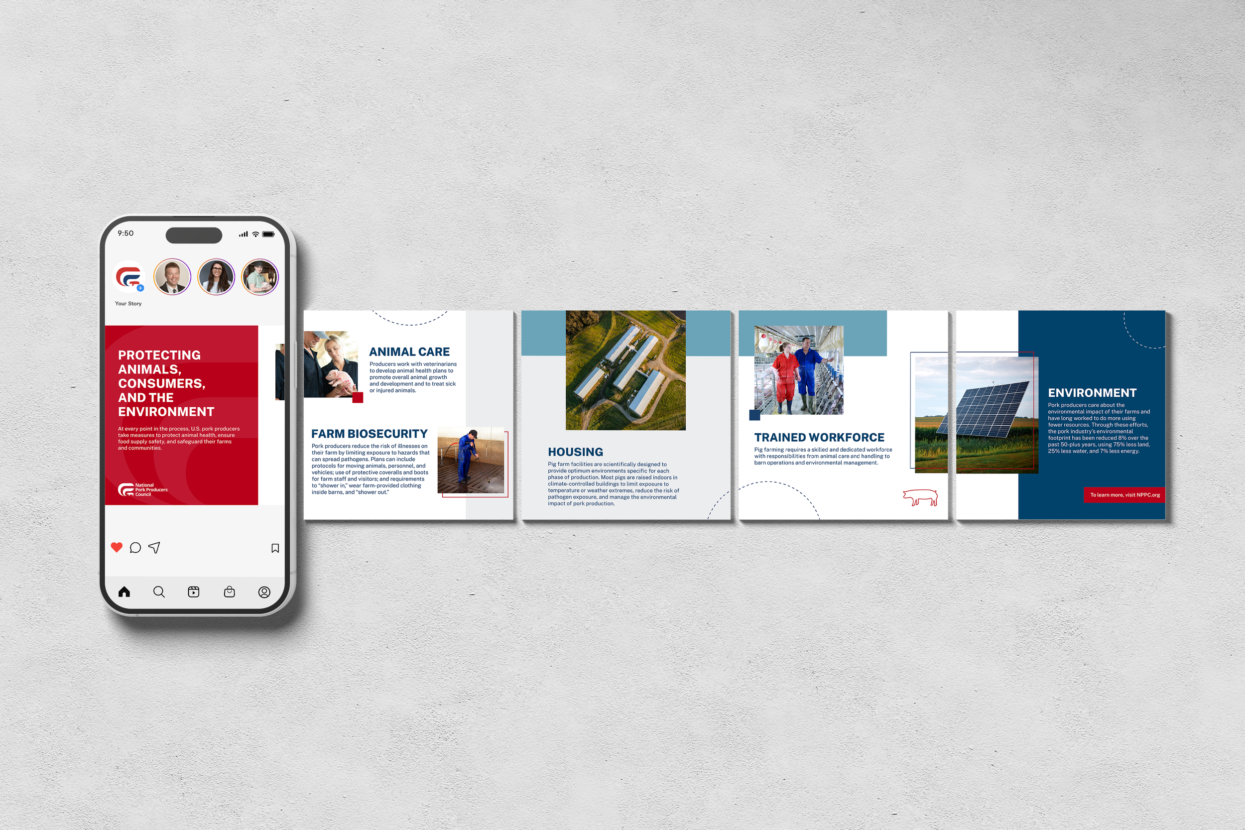 ACE-carousel-mockup.png