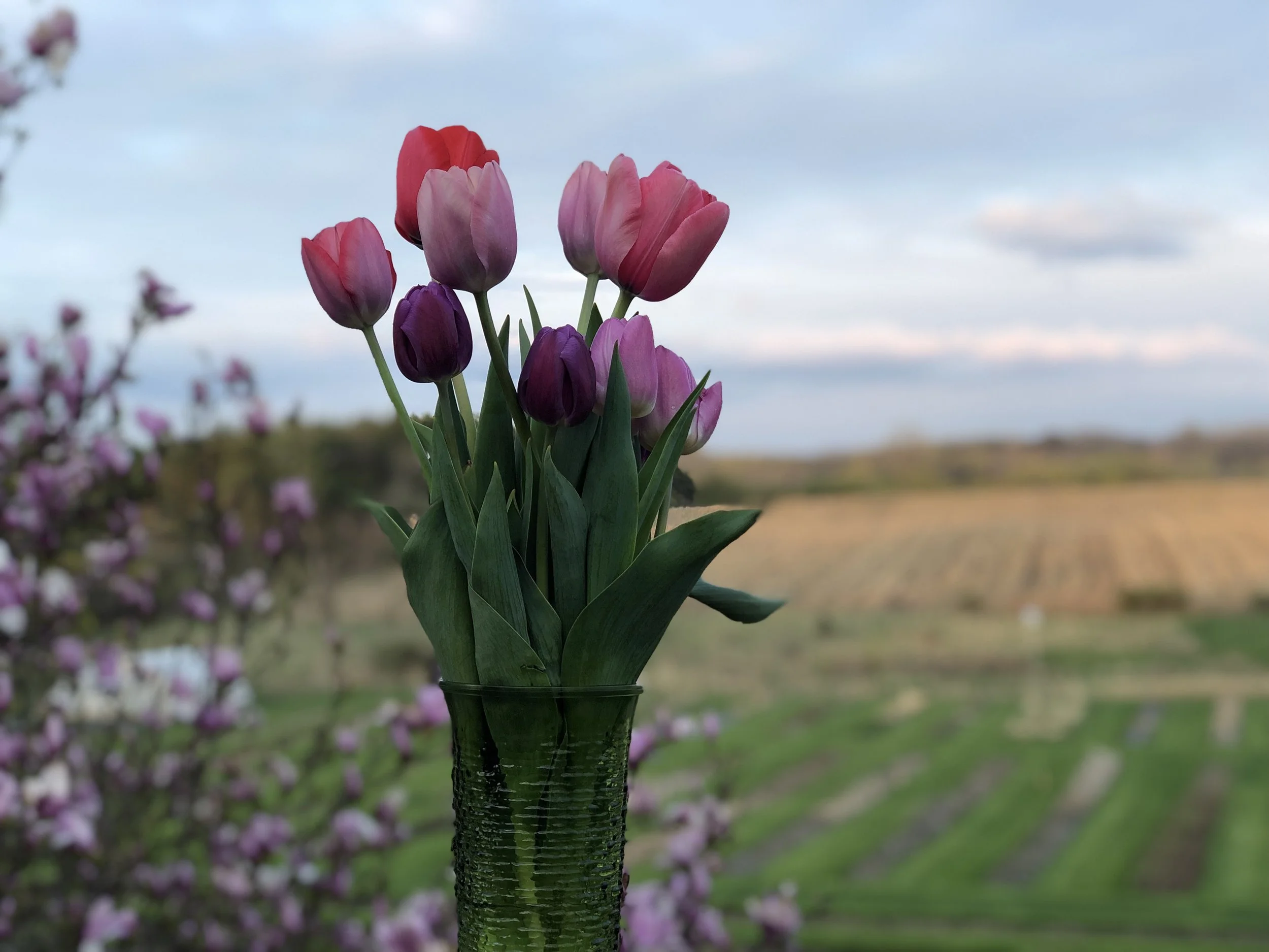 Peace of Heaven Flower Farm