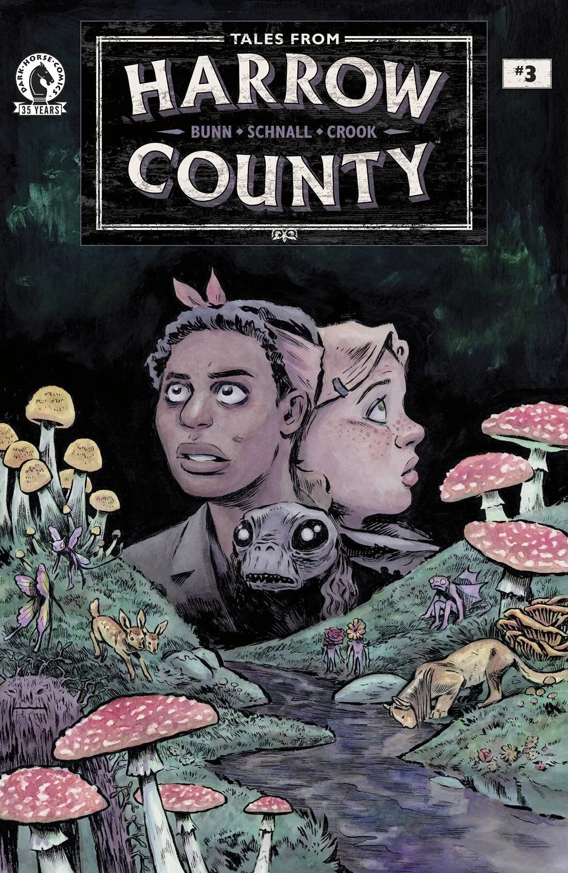 TALES FROM HARROW COUNTY FAIR FOLK #3 (OF 4) CVR A SCHNALL, Dark Horse Comics, 2021