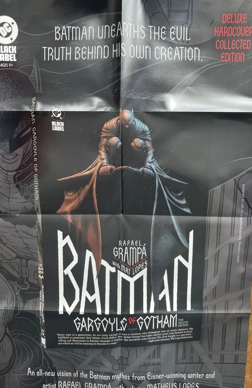 BATMAN GARGOYLE OF GOTHAM PROMO POSTER