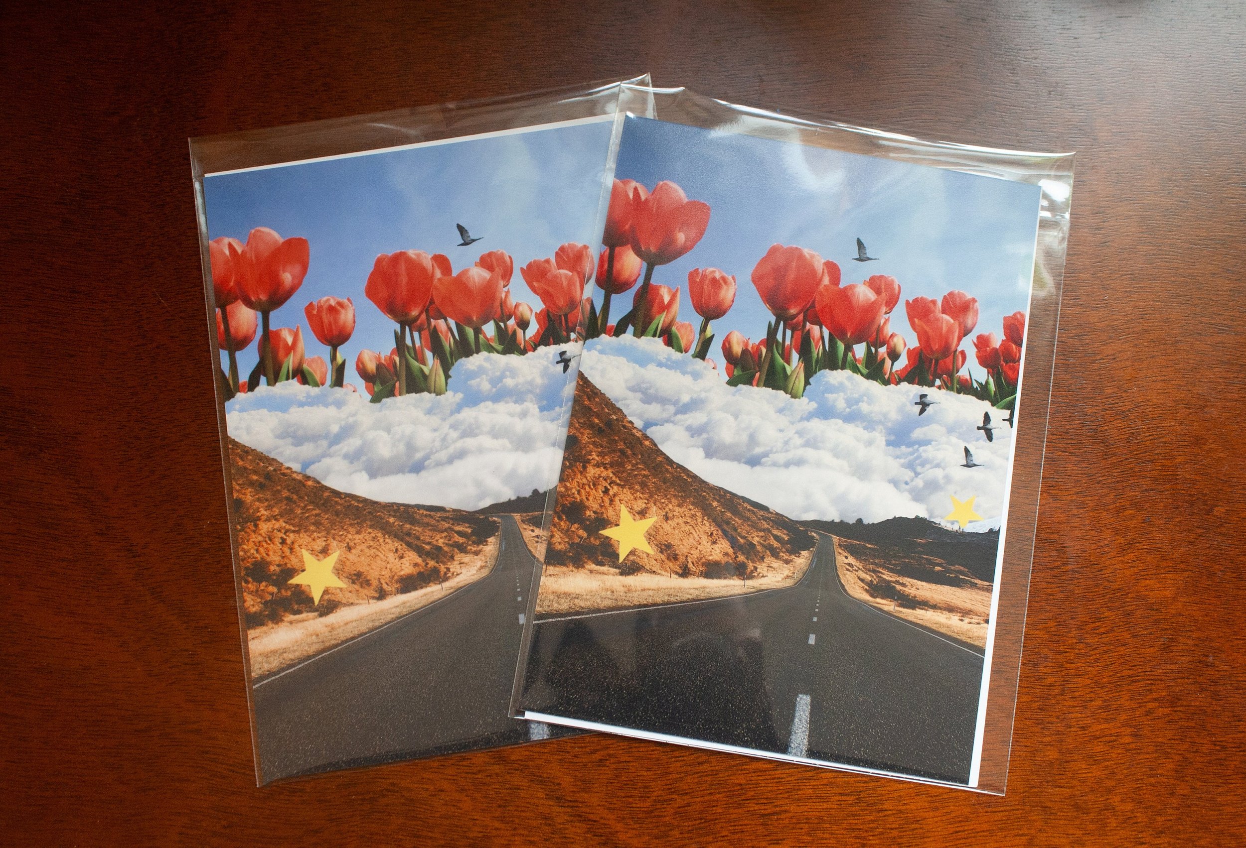 On the Up & Up - 5x7 Print