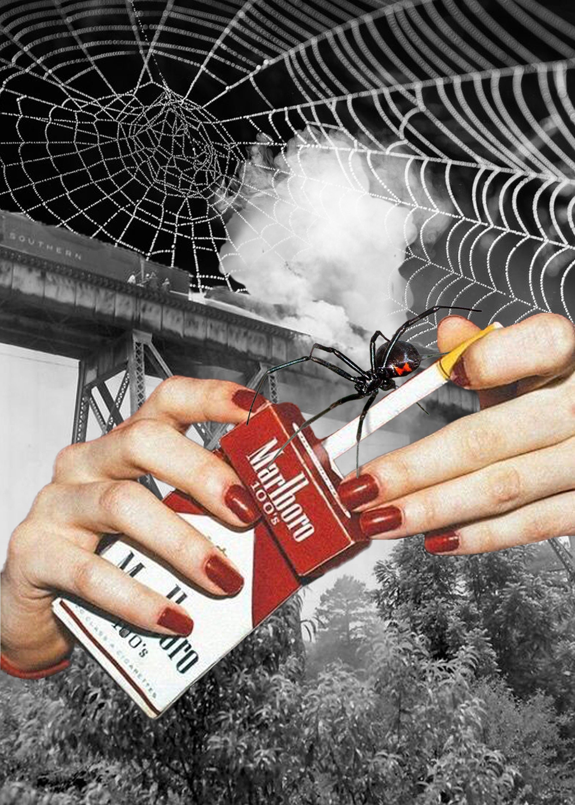 Bite Back - 5x7 Collage Print
