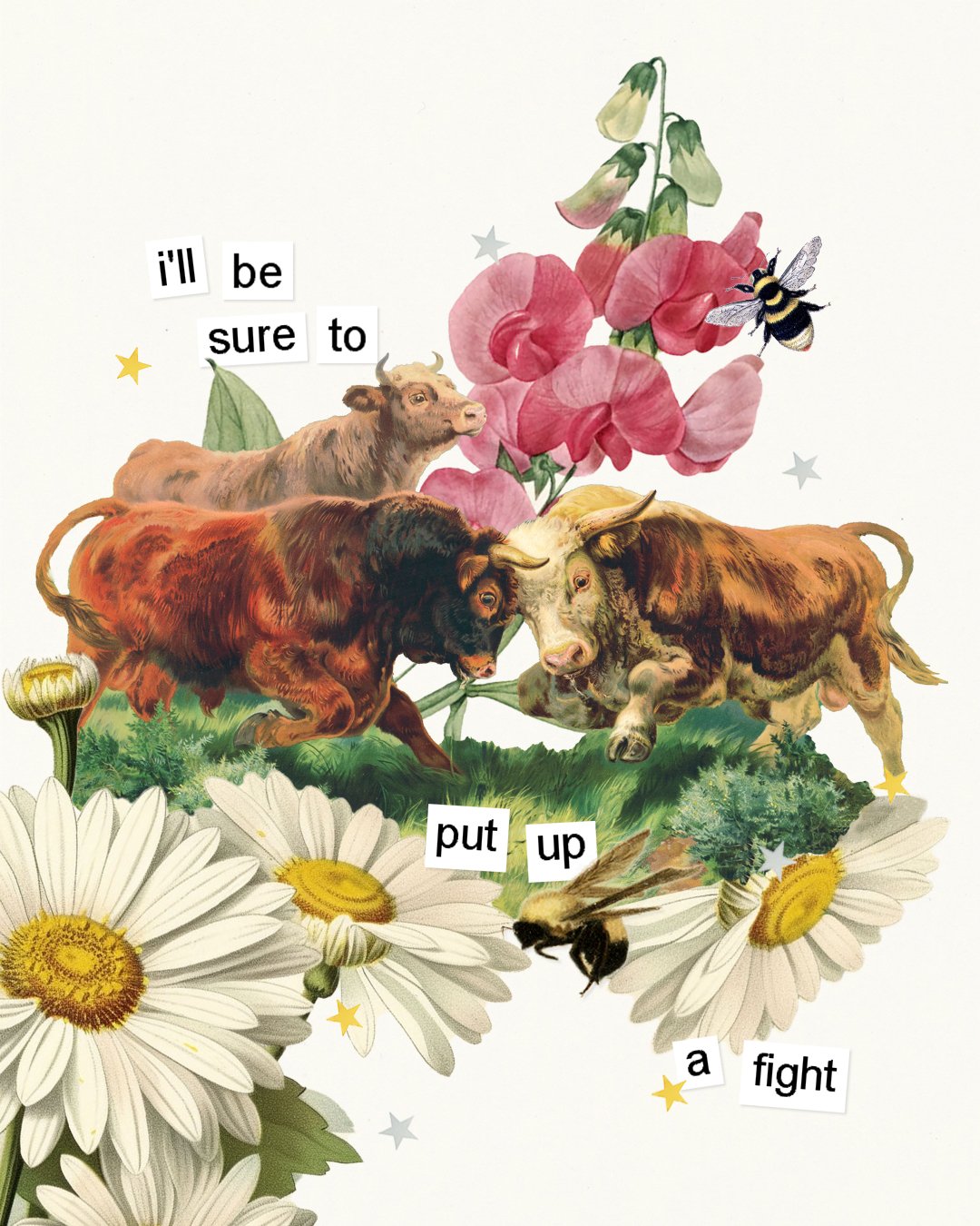 StubbornBull.jpg