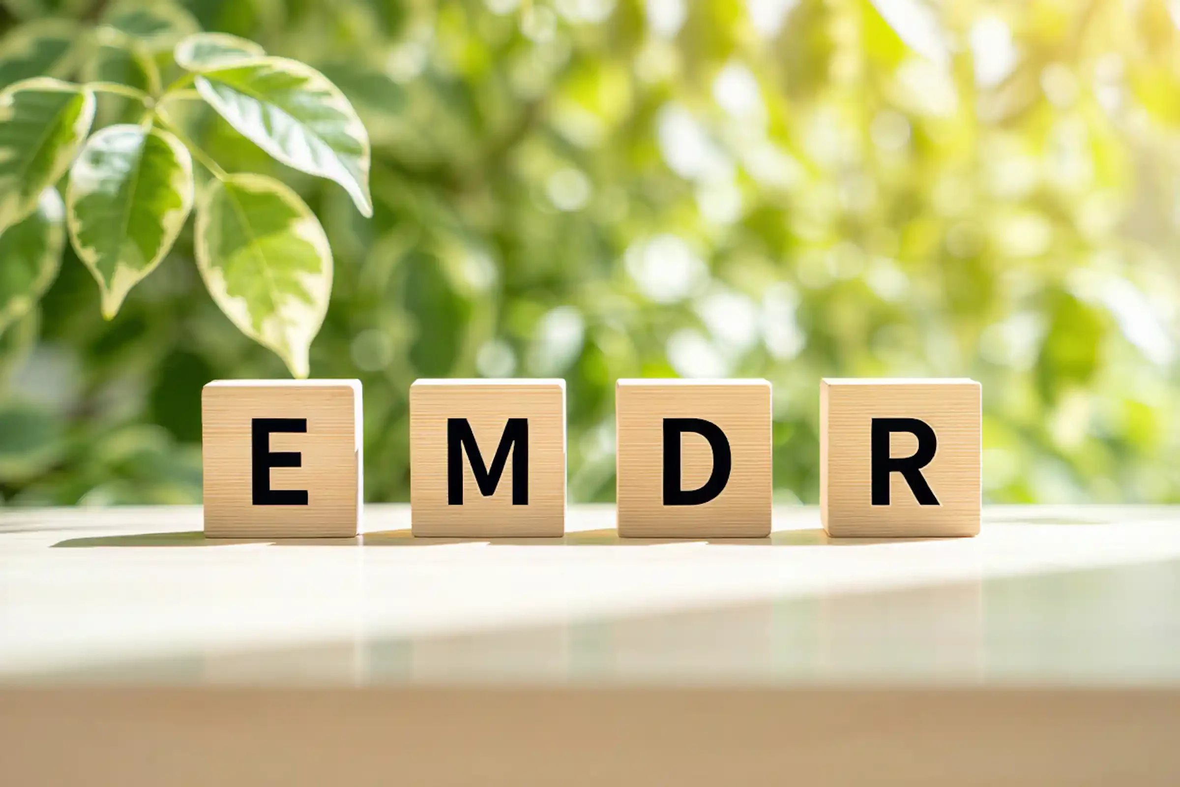 Four wooden blocks with the letters E, M, D, and R are arranged in a row on a light surface, with green leafy plants blurred in the sunny background.