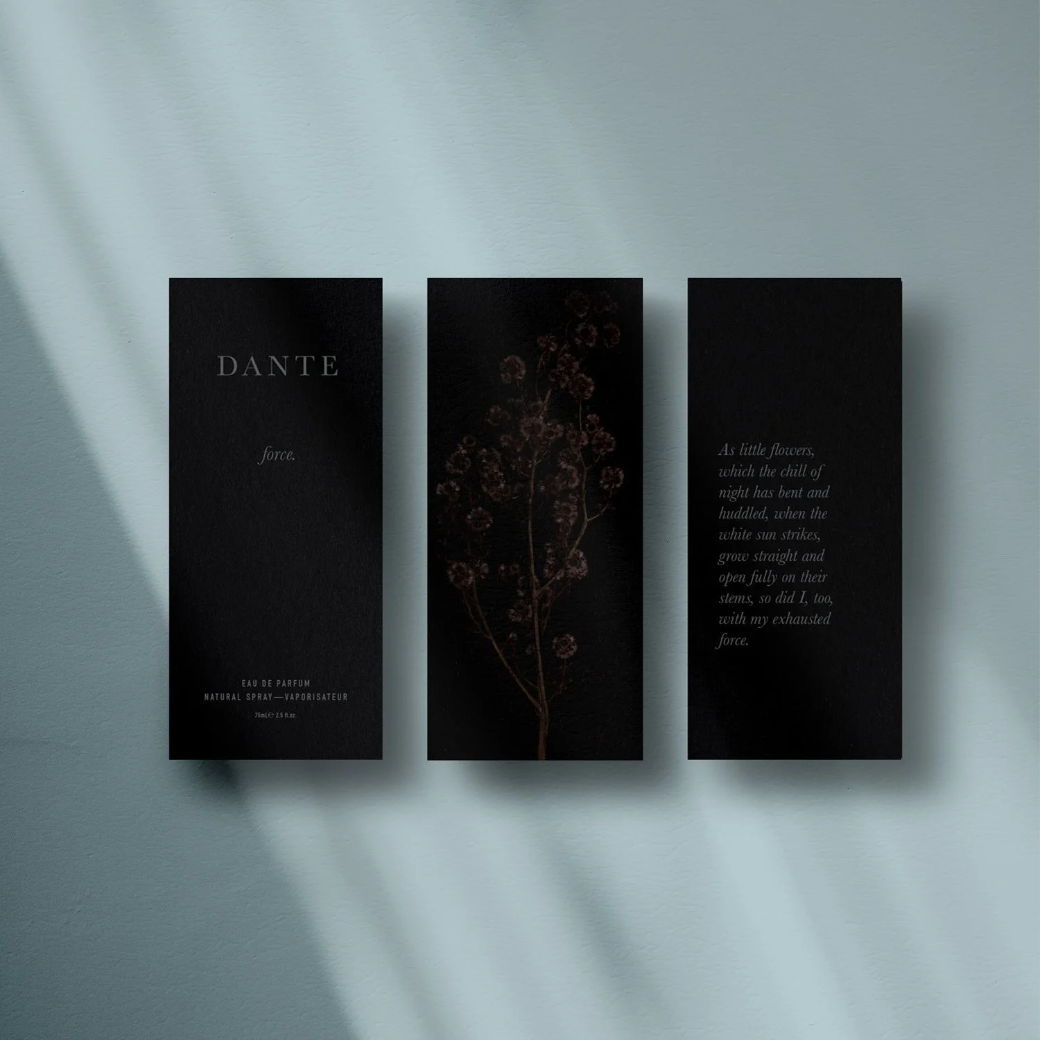 para graphic design web-9.jpg