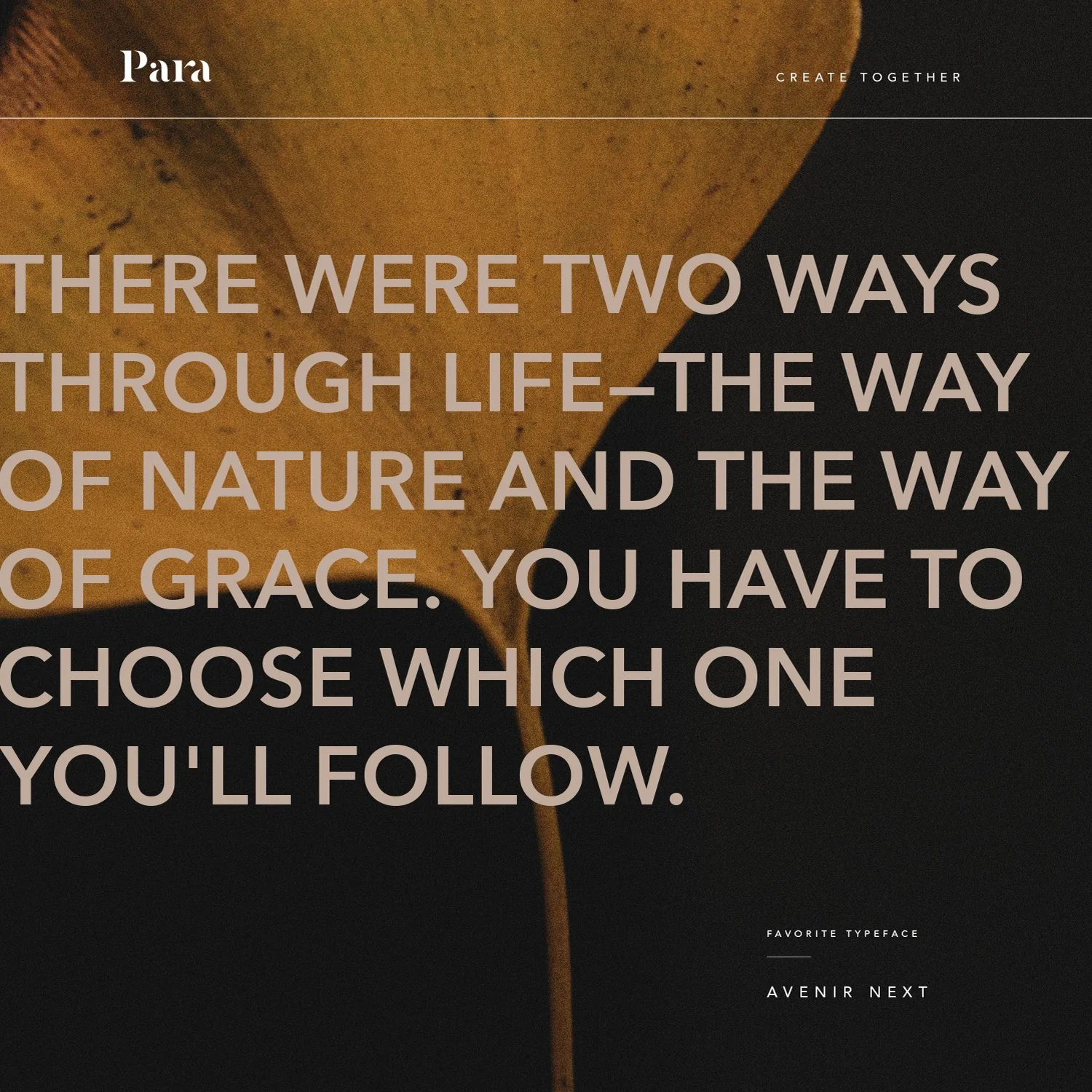 para graphic design posts-23.jpg