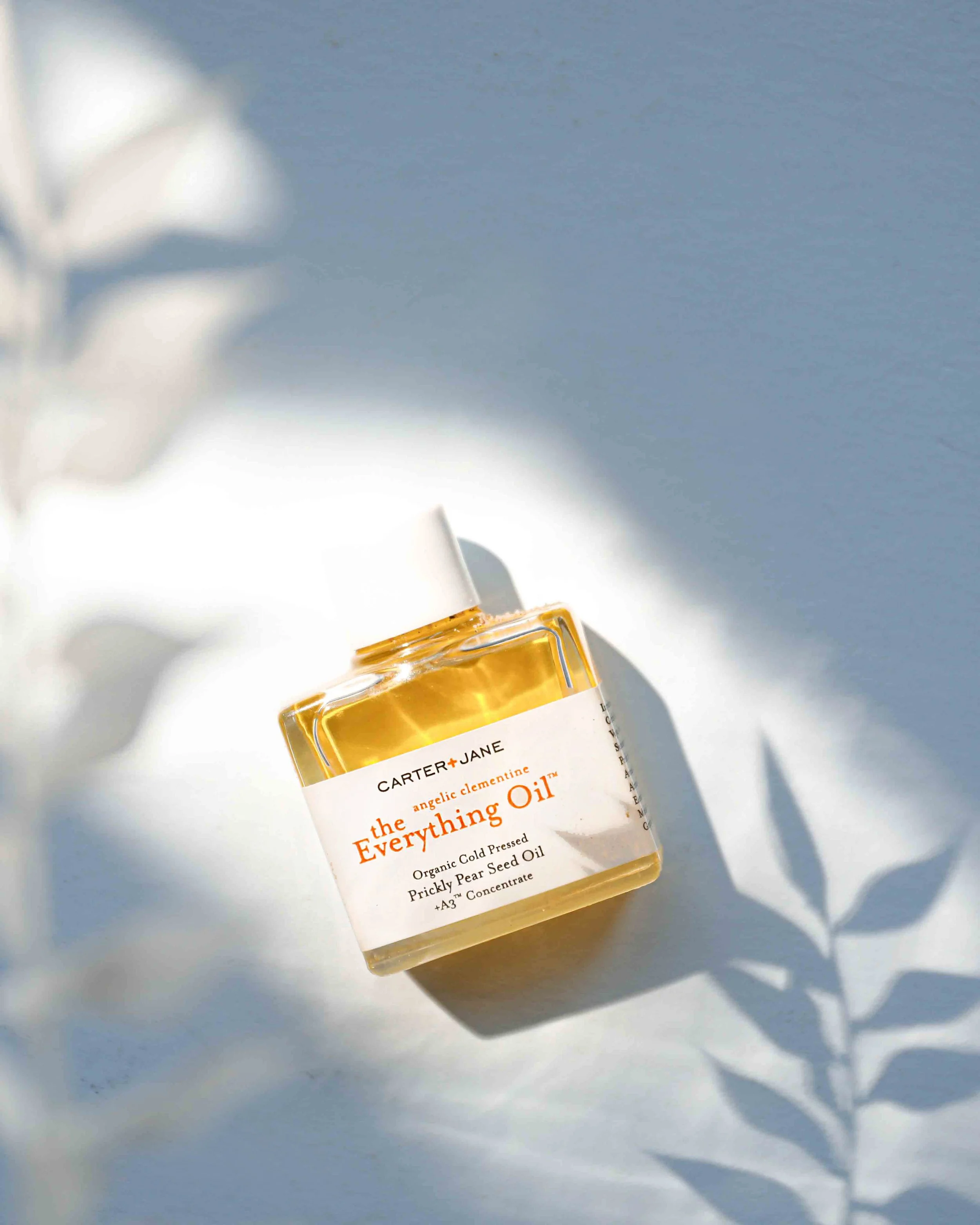 The_Everything_Oil_12ml_Aug-3 copy.jpg