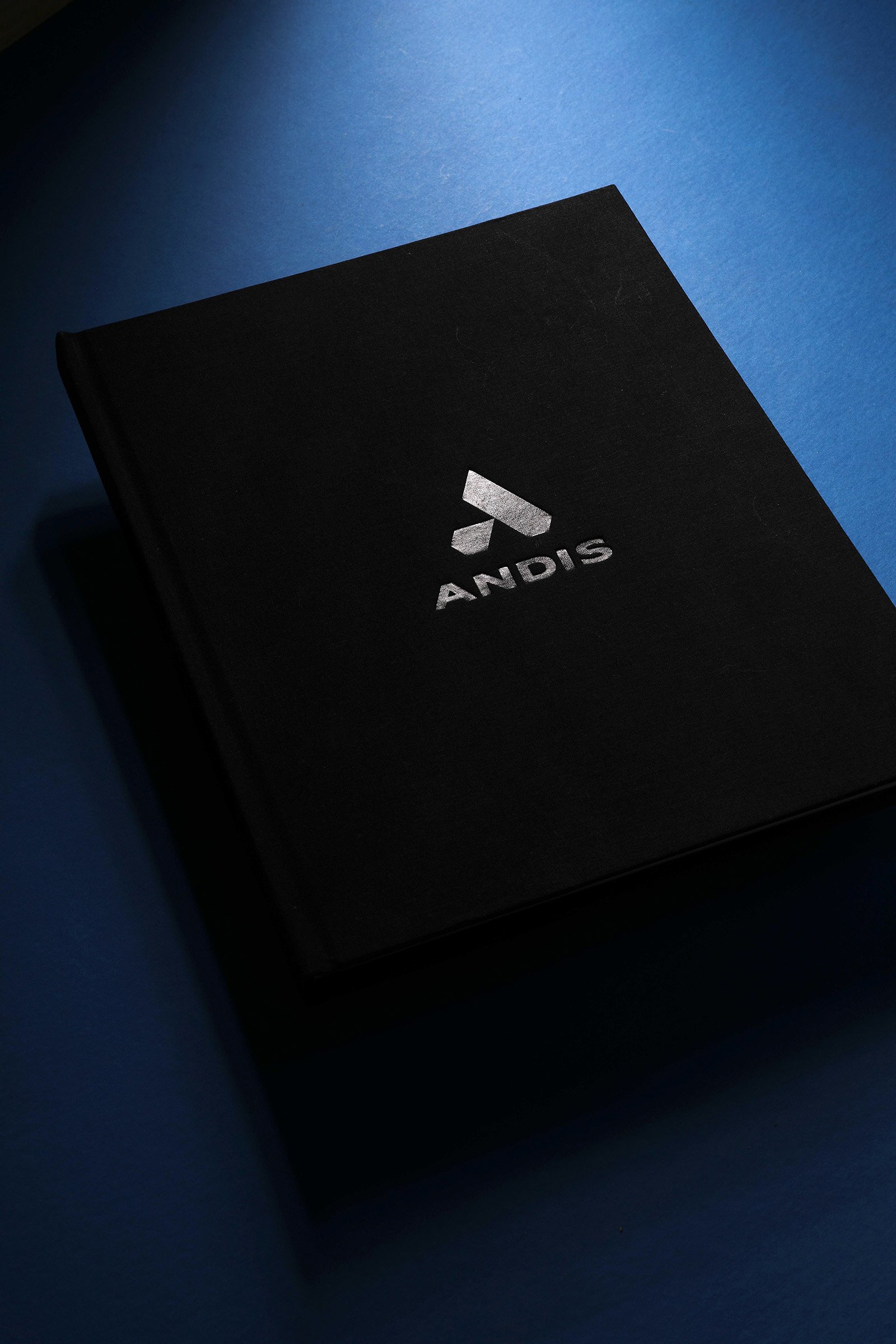 Andis-Book-3.jpg