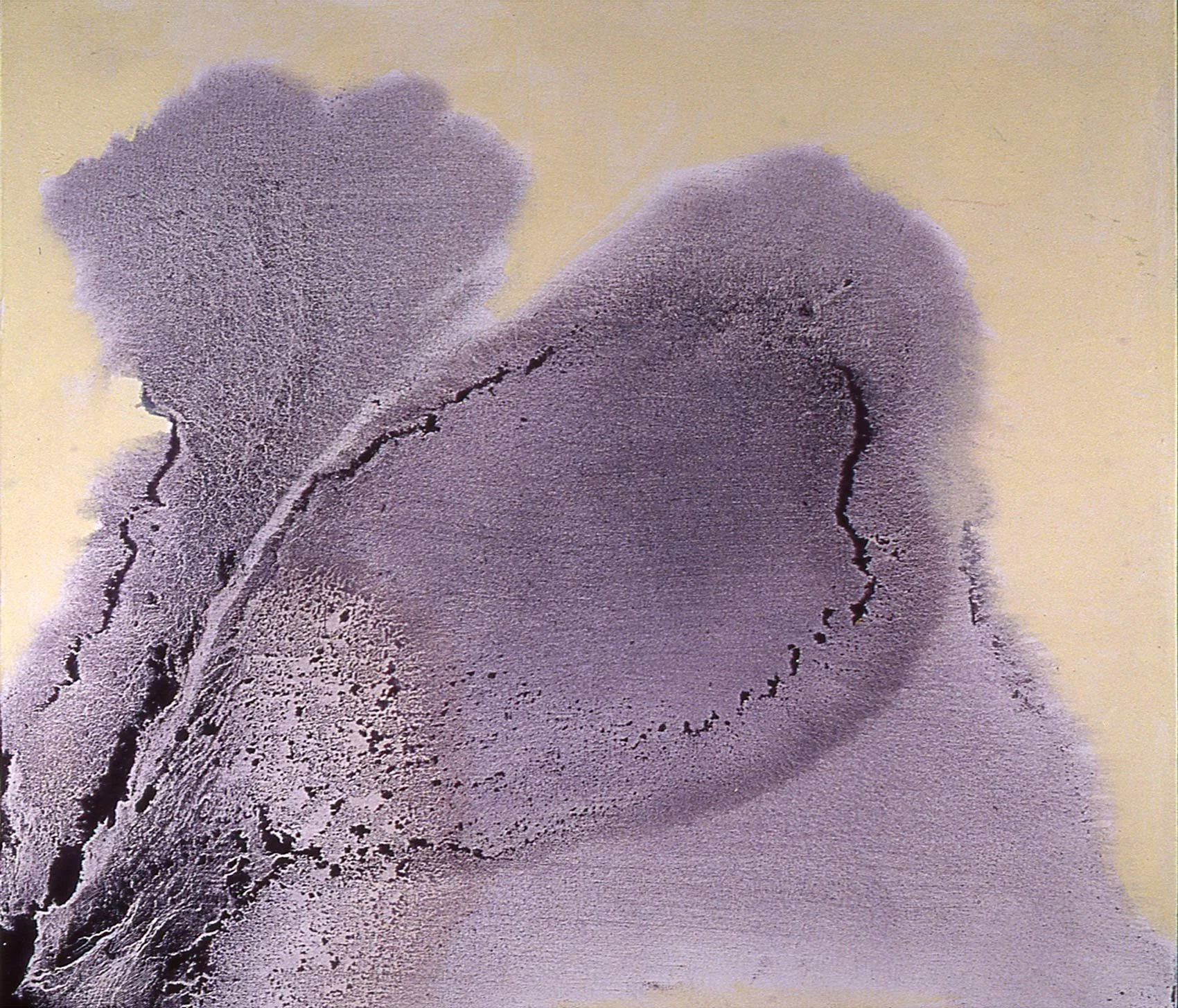 Inside Out, Oil on Canvas, 22" X 24"