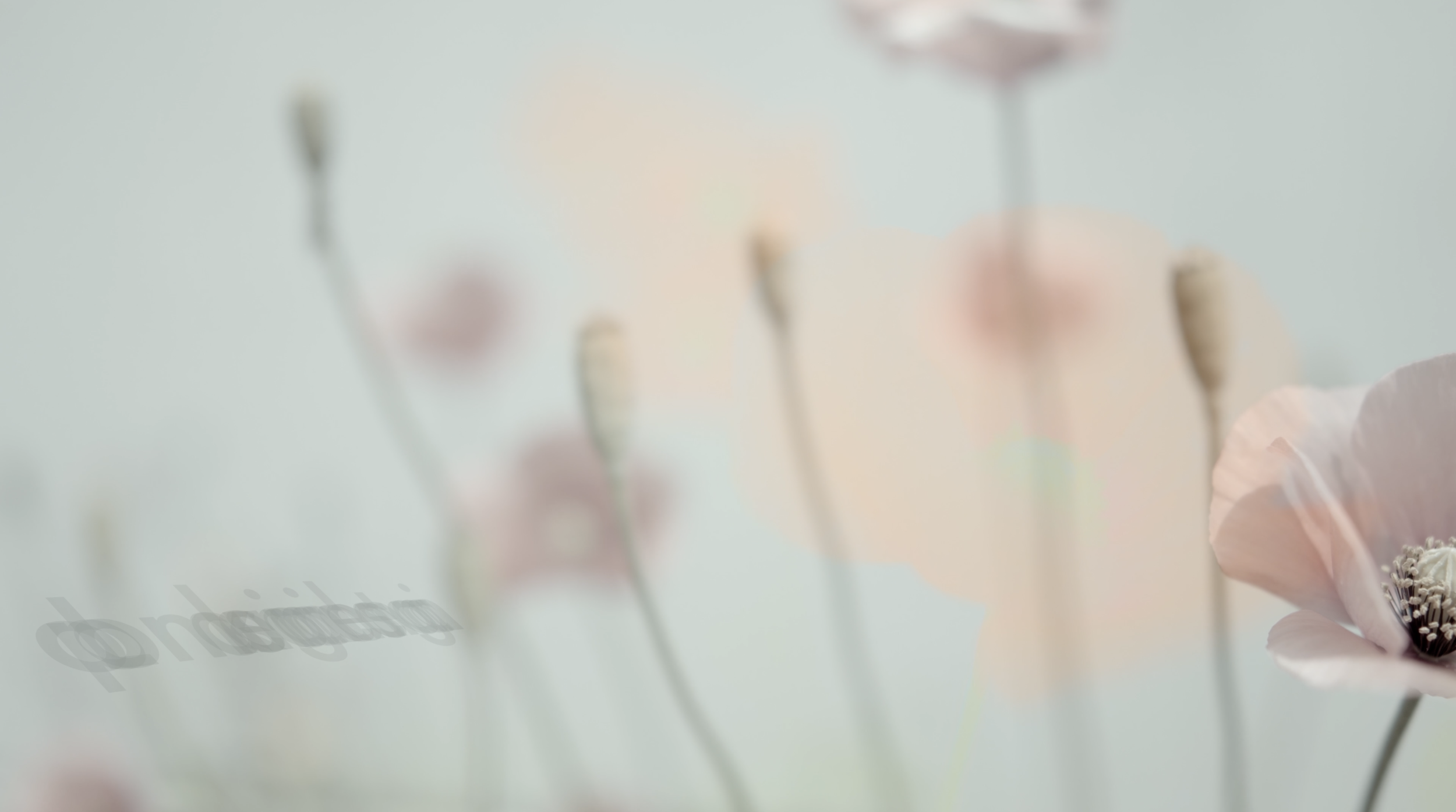 スクリーンショット 2021-08-19 16.58.40.png