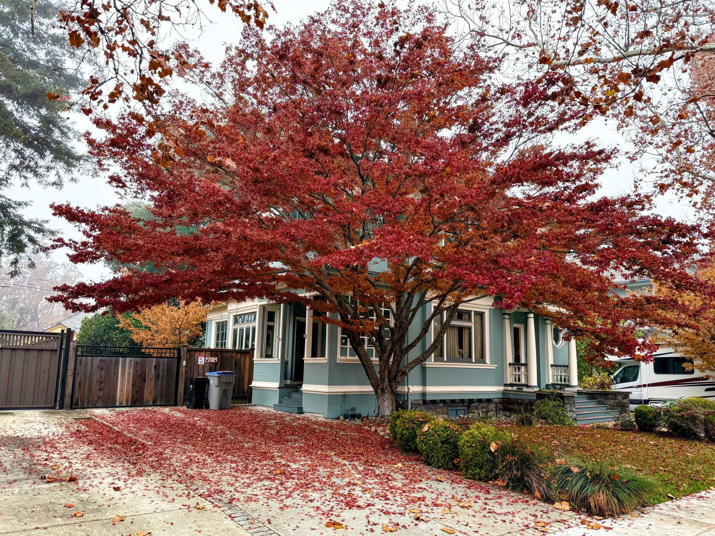 Naglee Park
181 South 13th Street, San Jose, CA
$2,600,000 (Off Market)
5 BD - 3 BA