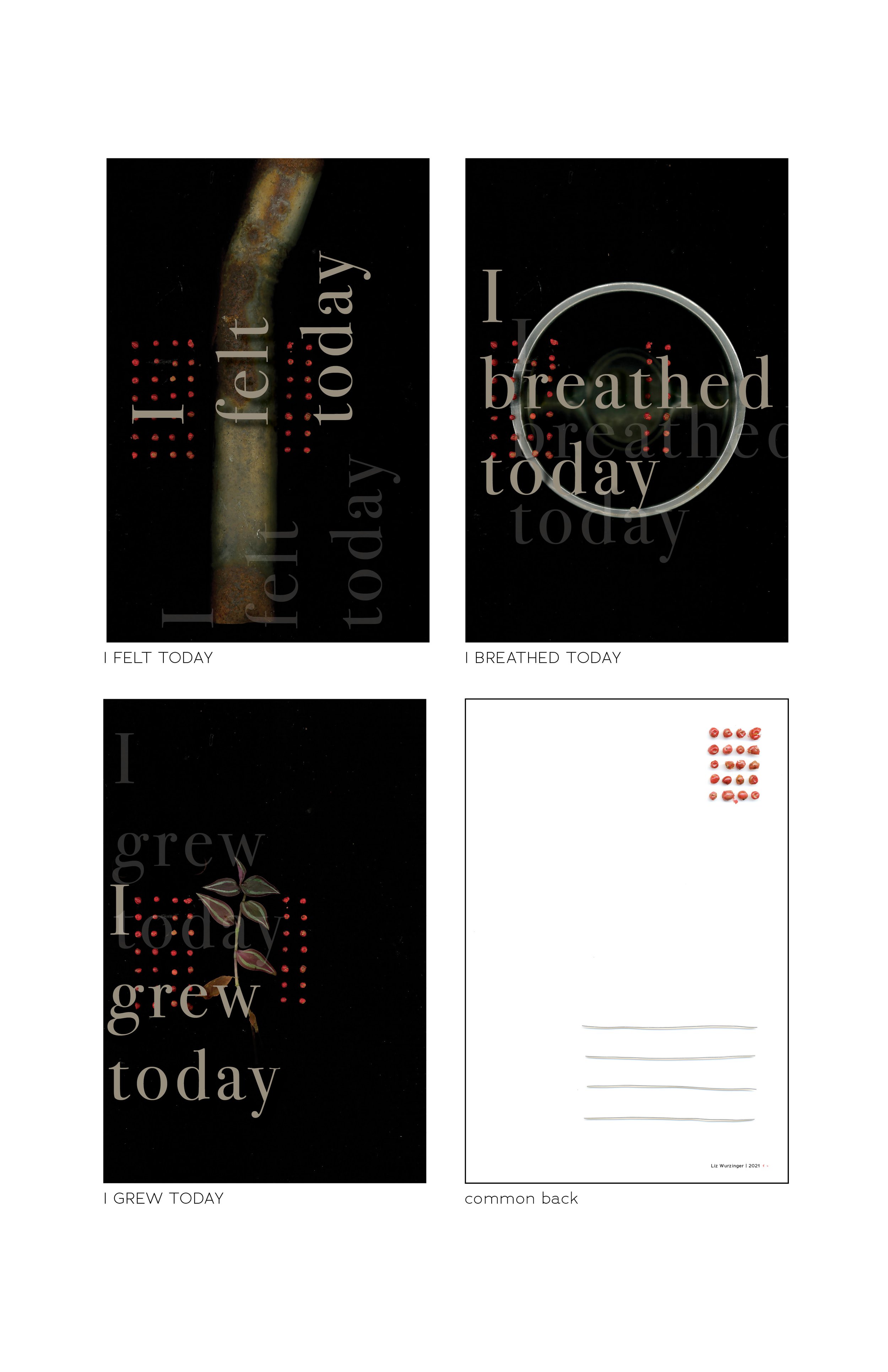 postcard-preview.jpg